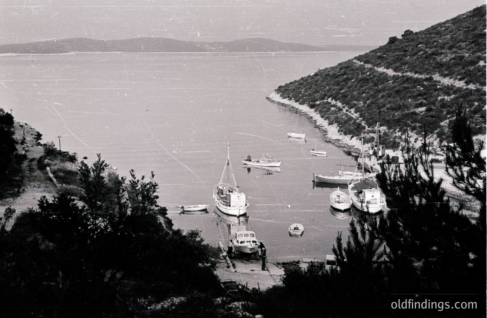 A hillside harbor scene, featuring a row of fishing boats and yachts moored in calm water. The hillside is densely covered in evergreen vegetation, sloping steeply to the shore. Likely a Mediterranean coastal location. Appears to be a vintage photograph, possibly 1960s-1970s. Potential for use as vintage travel or nautical design reference.