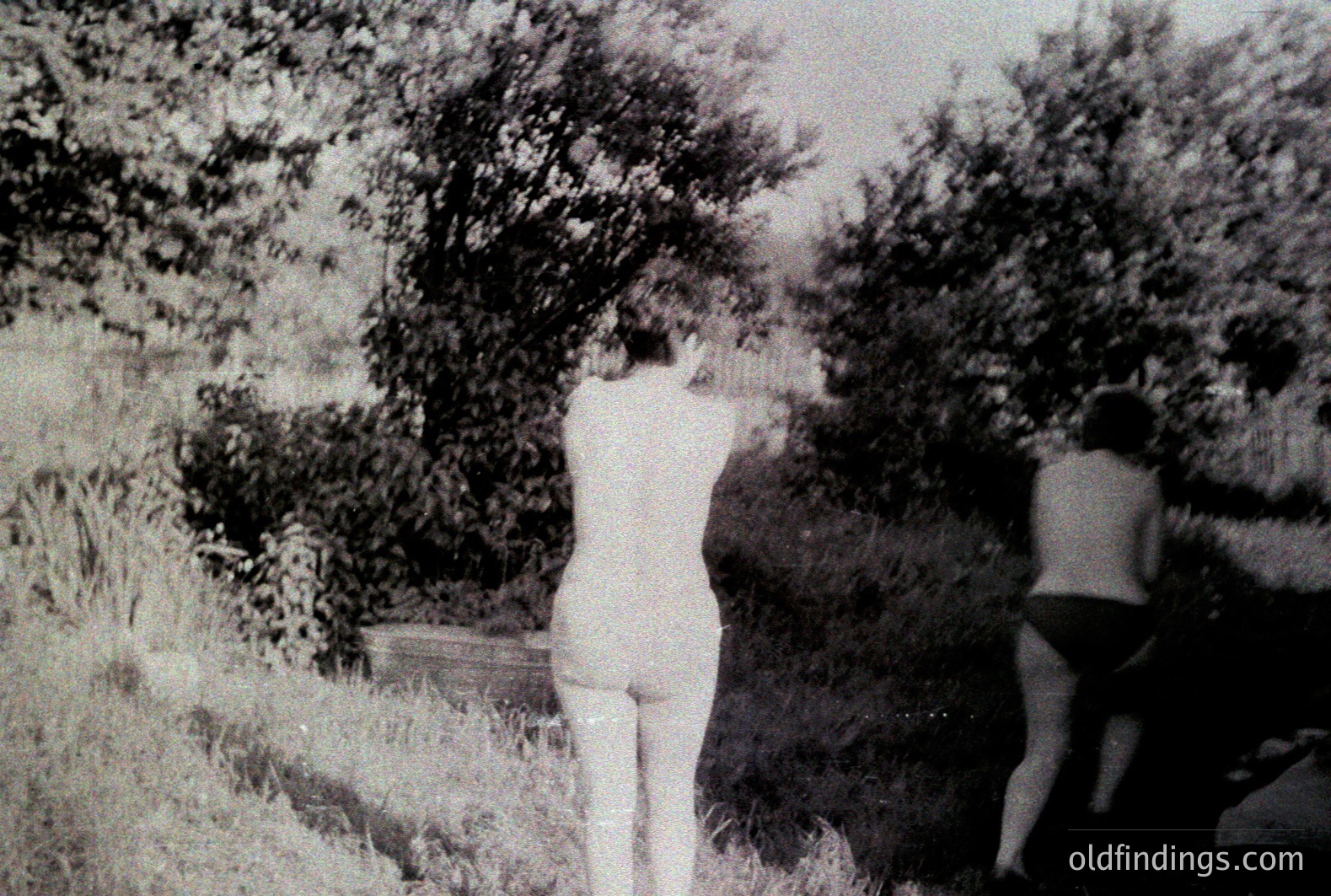 Two figures, appearing nude, are positioned in a dense, overgrown garden setting. The foliage obscures the surroundings, creating a sense of seclusion. Visible details suggest a mid-century aesthetic, possibly 1960s or 1970s. Likely intended for artistic or experimental purposes.