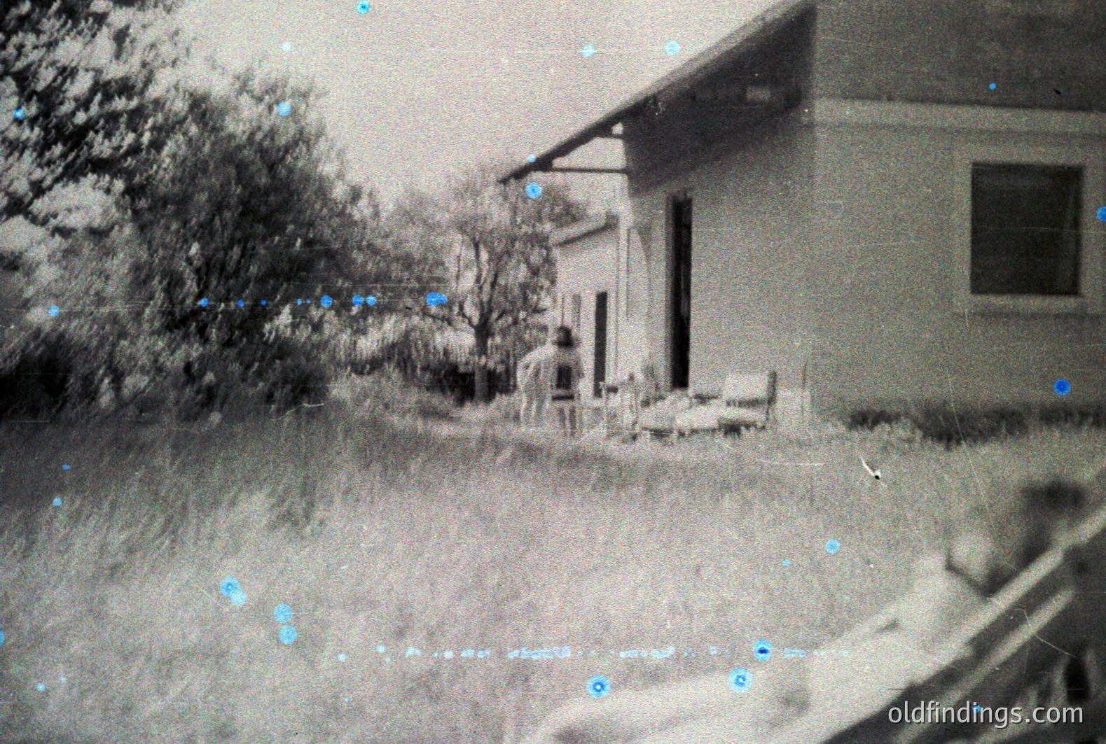A modest, single-story home with a partial front porch and a visible window. A figure appears seated on the porch, partially obscured by foliage. Tall grass and a mature tree dominate the foreground. Likely a residential snapshot, mid-20th century, possibly rural setting. Photograph exhibits age-related wear.