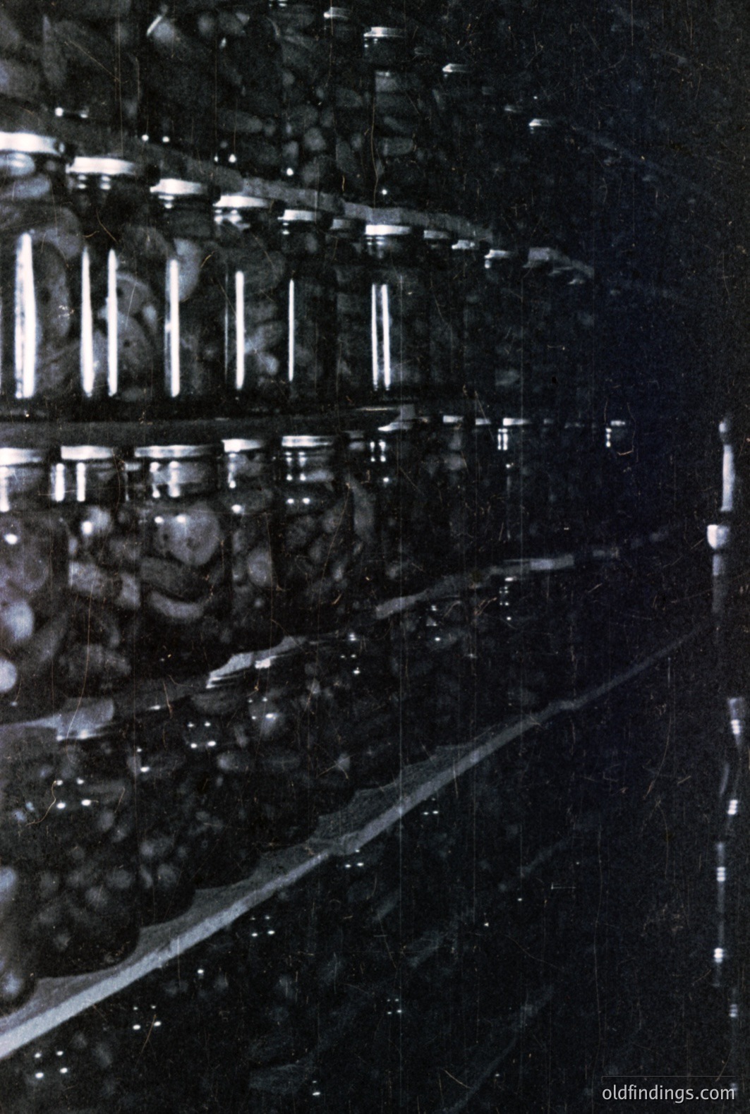 A dark, somewhat blurred photograph depicts rows of jars containing preserved specimens—likely fruits or vegetables—stacked on shelves. The monochromatic palette & visible grain suggest a vintage aesthetic, potentially 1950s or earlier. A utilitarian, industrial storage space. Likely a food processing facility or home pantry.