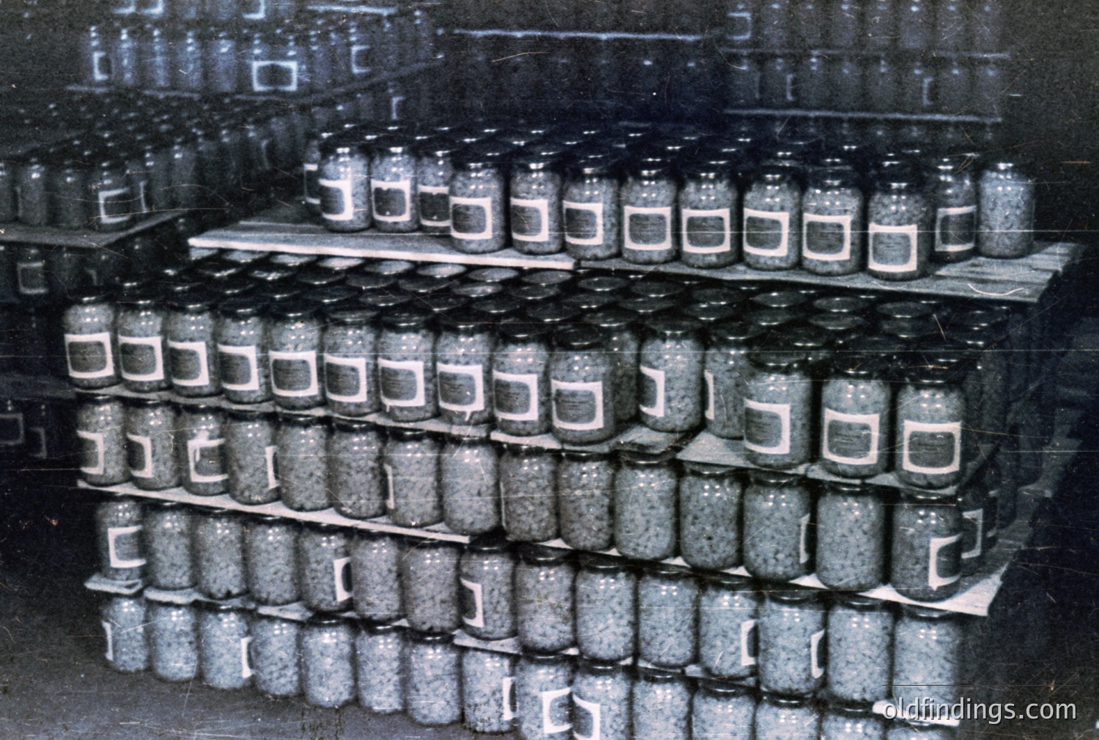 Rows of glass jars, densely packed on tiered shelving. Contents appear to be small, uniform objects, possibly seeds or processed grains. B&W photo suggests a laboratory or archival setting, possibly mid-20th century. High commercial value for agricultural or scientific studies.