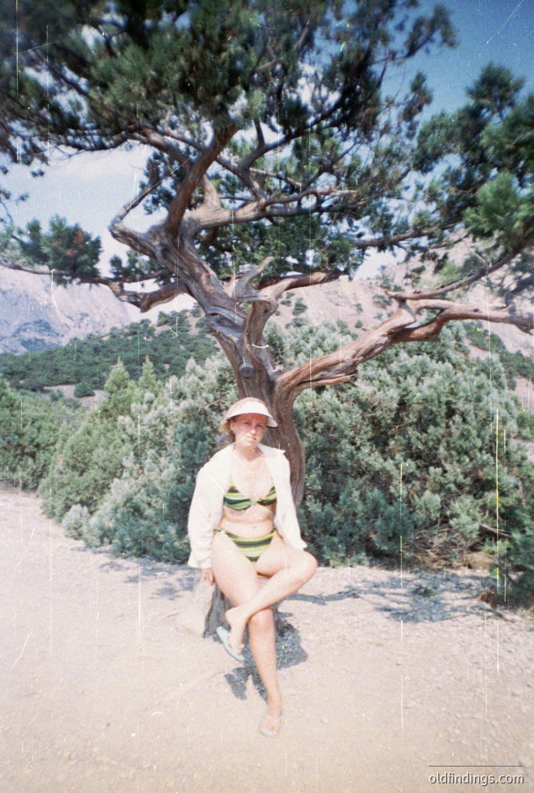 A woman sits perched on a branch of a gnarled juniper tree. She’s wearing a patterned swimsuit, white linen shirt, and straw hat, set against a backdrop of rocky hills. The image has the characteristic color palette & grain of vintage film, suggesting the 1970s or 1980s. Likely Mediterranean location. <start_of_image>