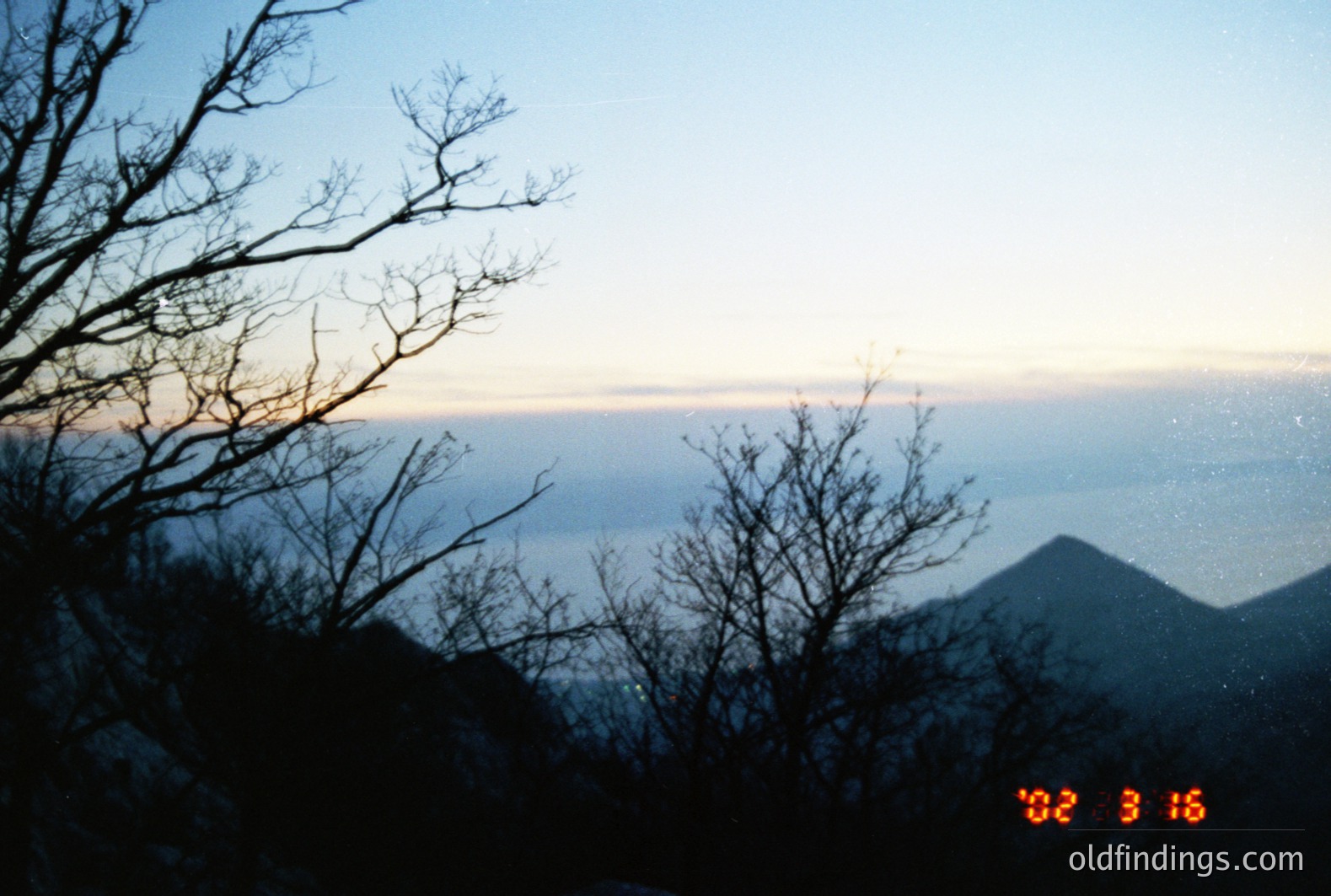 Dramatic, low-light landscape featuring a coastal view and bare trees silhouetted against a pale dawn sky. Distant mountains are visible through a hazy atmosphere. Photograph shows a timestamp of 2002. Potential stock photography for landscapes, nature themes.