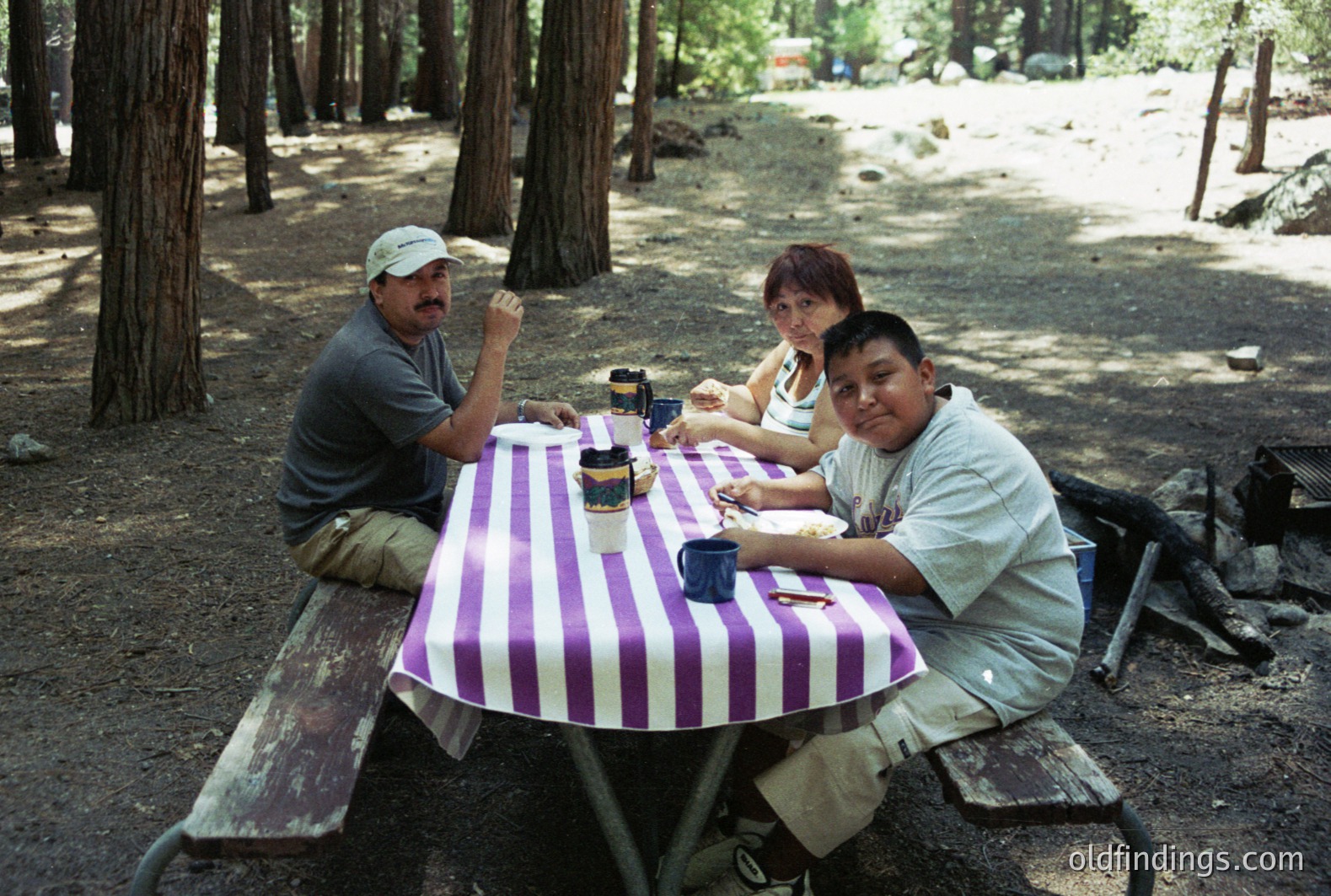 A family of three sits around a picnic table covered with a striped purple and white tablecloth, enjoying a meal outdoors. The scene appears to be a campground with tall pine trees visible in the background. A grill and firewood are nearby. Likely captured in the 1990s.