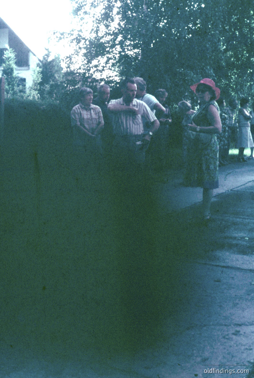 A group of people view something beyond a high hedge. A woman in a red hat and patterned dress stands prominently. The scene appears to be a residential area, likely mid-20th century, with foliage visible in background. Could be a garden tour or casual gathering.