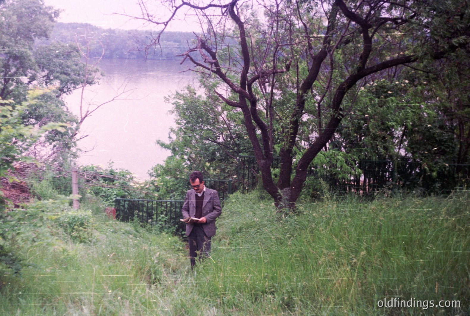 A man in a blazer and dark pants stands in tall grass, reading a book. A body of water is visible in the background, framed by dense foliage. Appears to be a scenic overlook, possibly a park setting. Likely a 1970s color snapshot.