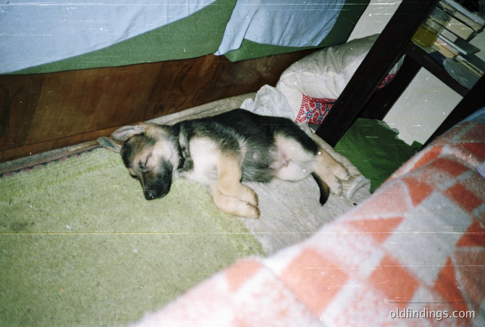 A young German Shepherd puppy rests on a patterned rug, appearing deeply asleep. The image, likely a snapshot, showcases a casual domestic scene. Visible are worn wooden floors & a glimpse of bedding. Appears to be a snapshot from the 1990s. A classic, easily reproduced pet portrait.