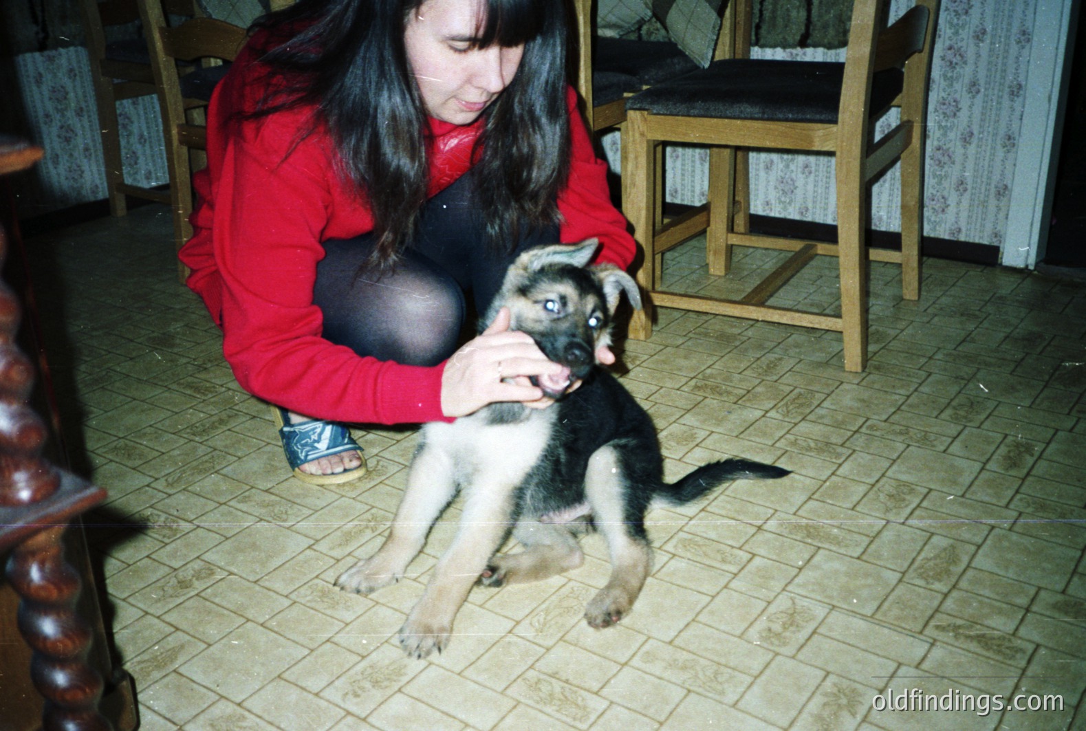 A young woman in red, black leggings, and dark stockings kneels, interacting with a German Shepherd puppy on a tiled floor. The room's decor suggests a 1970s/80s interior. Likely a home snapshot capturing a moment of connection. Commercial use: family portraiture, pet adoption campaigns.
