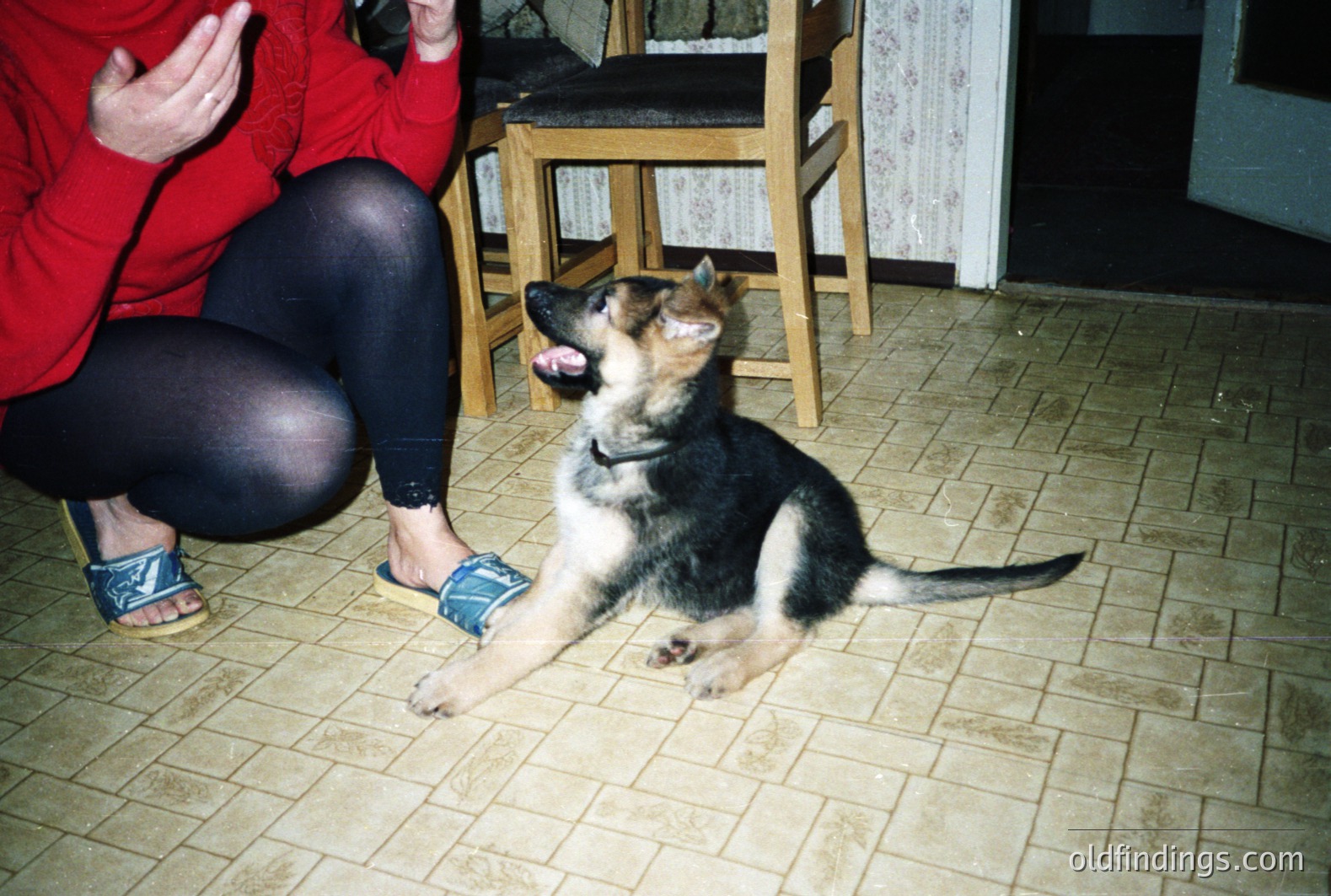 A German Shepherd puppy sits alertly on a patterned tile floor. A person in red is partially visible. The decor suggests a home interior, possibly 1970s or 80s. The image has the characteristic color cast of older film photography.