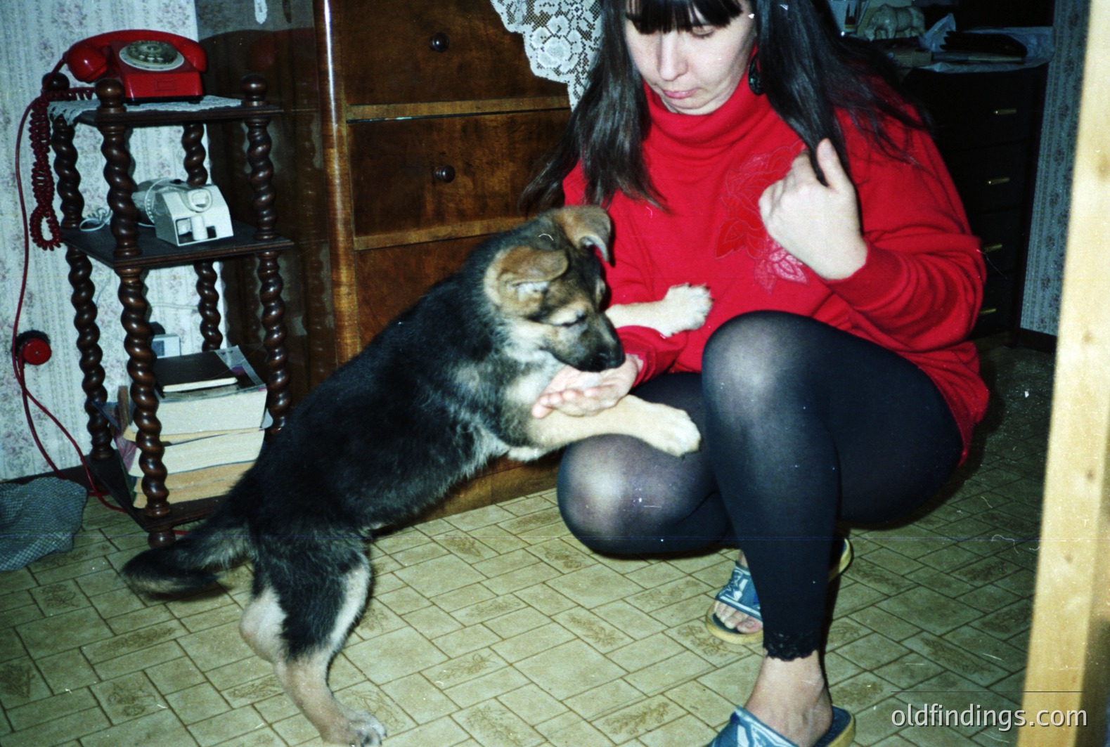 A young woman in a red sweater & black tights kneels, interacting with a German Shepherd puppy. The room features a vintage rotary phone and dark wood furniture. Likely taken in the 1980s-90s, it evokes a snapshot of domestic life. Ideal for design or nostalgia projects.