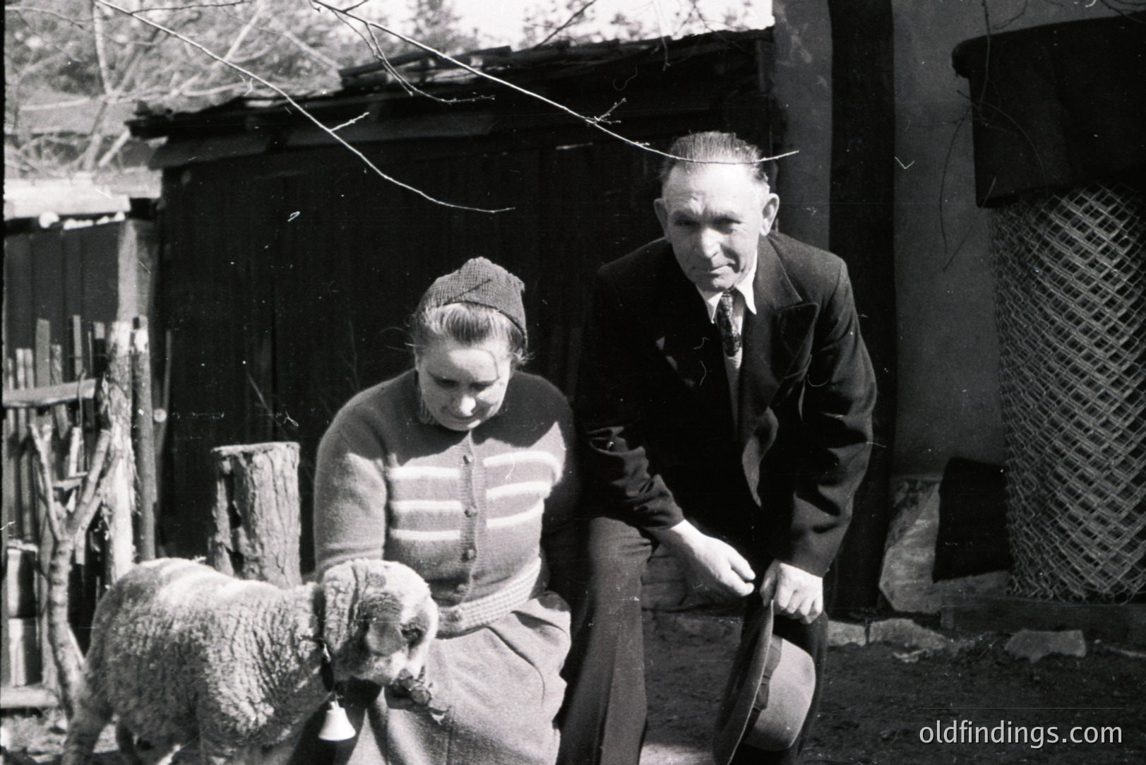 A seated couple, likely rural residents, observe a sheep with a bell. The man wears a suit & tie; the woman, a knitted cardigan and headscarf. Rustic, weathered building & fencing in background. Possibly Eastern European, 1950s-60s. Potentially valuable for historical or design use.