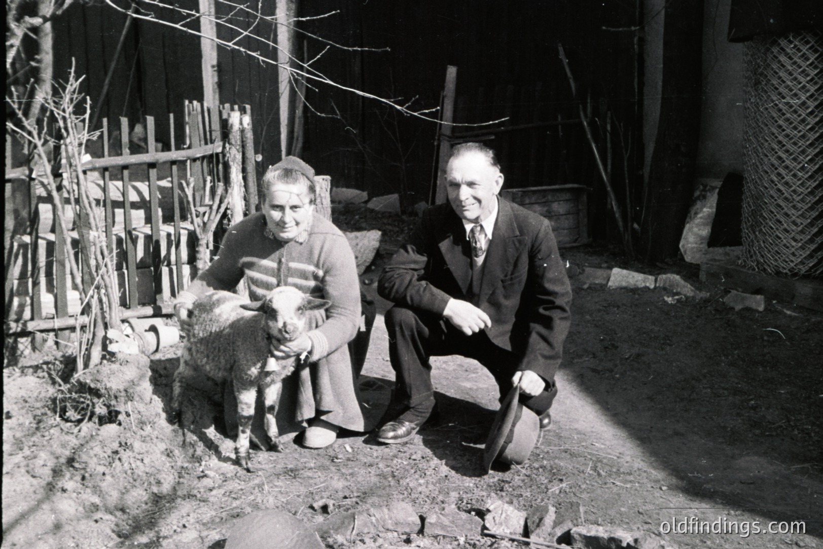 A middle-aged couple poses with a young lamb in a rural courtyard. The woman wears a sweater and long skirt; the man, a suit and tie. A weathered wooden fence and foliage are visible in the background. Likely a family portrait, 1950s-1960s, Eastern Europe. Potential value for genealogy, historical rural life documentation.