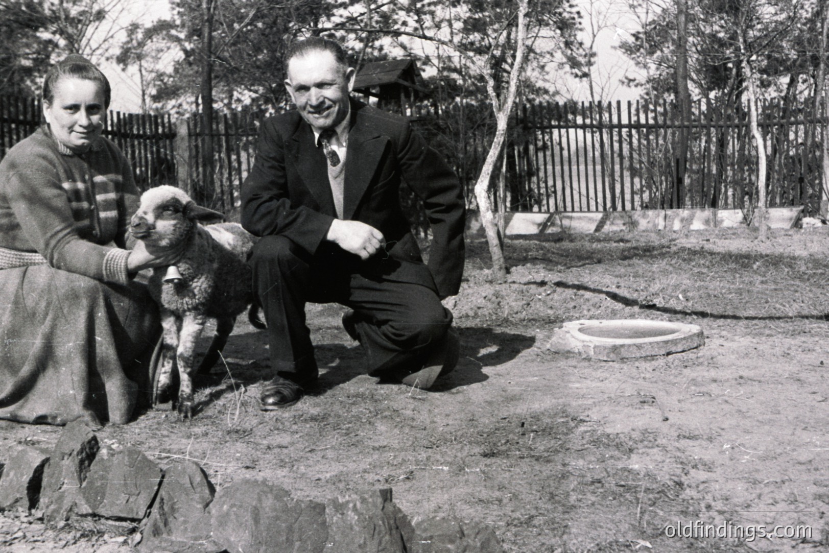 A couple poses outdoors with a lamb. The woman is seated, while the man crouches nearby, both appearing proud. Likely rural setting; weathered wooden fence & stone edging visible. Black and white photography, circa 1950s-1970s, potentially Eastern Europe. Documentation of livestock or family farming.
