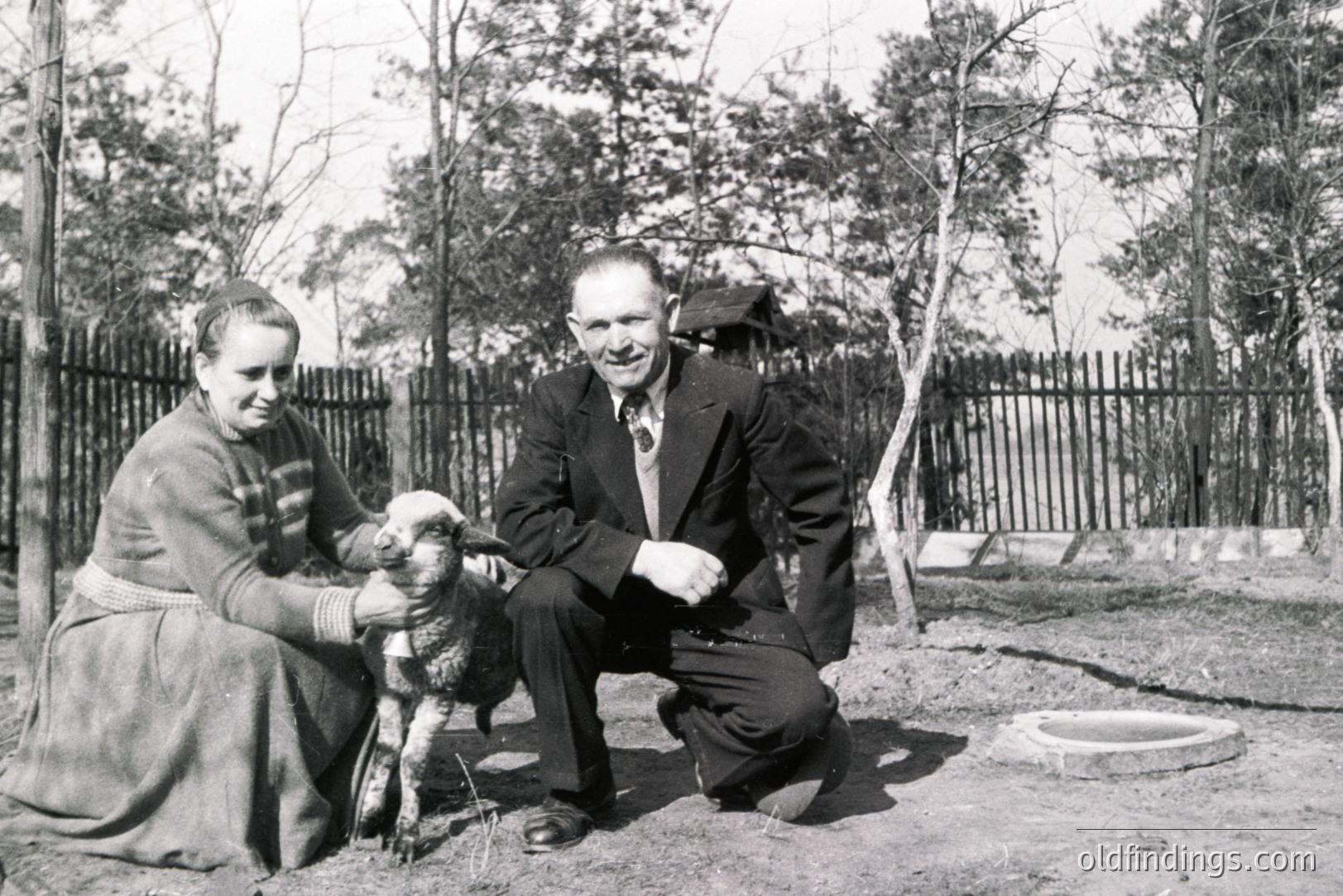 A couple, woman in a skirt and sweater, man in a suit and tie, pose with a young lamb. The scene appears to be a rural backyard or farm setting. Likely a family portrait, possibly from the 1950s or 1960s. The black and white photography lends a nostalgic feel.