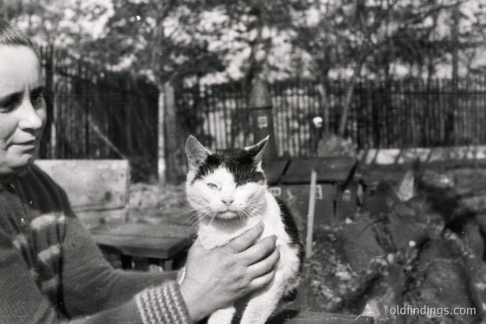 A woman gently holds a black and white cat; both appear to be looking directly at the camera. The scene suggests an outdoor setting, with a weathered wooden fence and foliage in the background. Likely a candid, informal portrait, possibly from the 1960s or 70s. The image shows a simple, domestic moment.