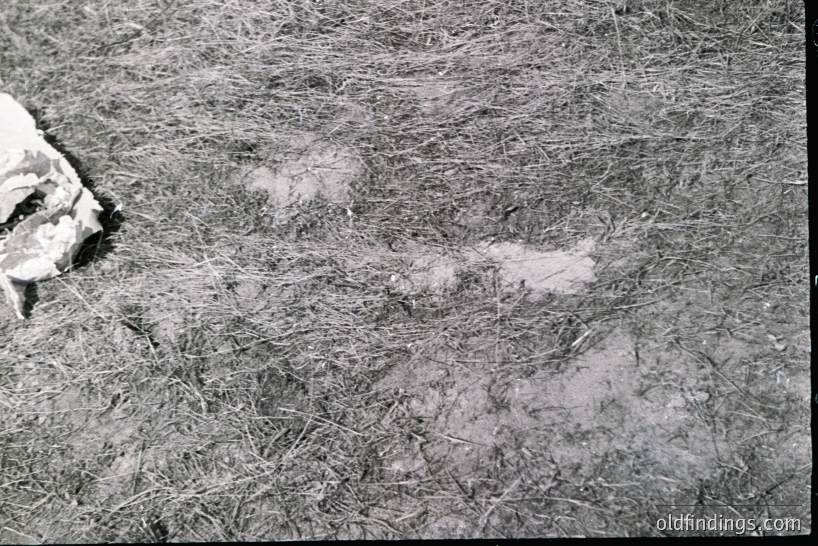 A grayscale image shows a section of ground covered in dried grasses and debris. A discarded, crumpled paper bag lies in the upper left corner. The ground surface shows patches of bare earth and areas with compacted soil. The texture appears rough and weathered. Likely a utility or industrial area.