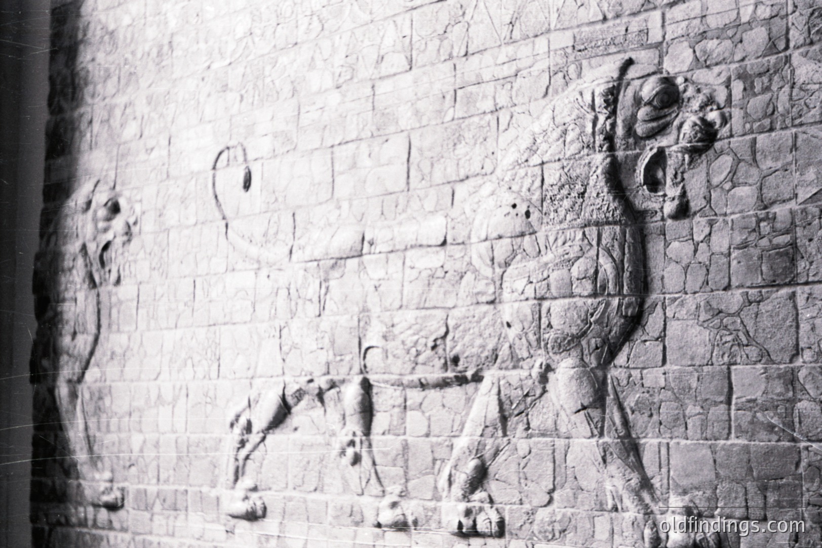 Detailed relief carving depicting a lion with a bull's head (lamassu) embedded within a stone wall. The figure displays a composite creature, symbolic of power and protection. Likely from an ancient Near Eastern palace. Valuable for archeological study & design inspiration.