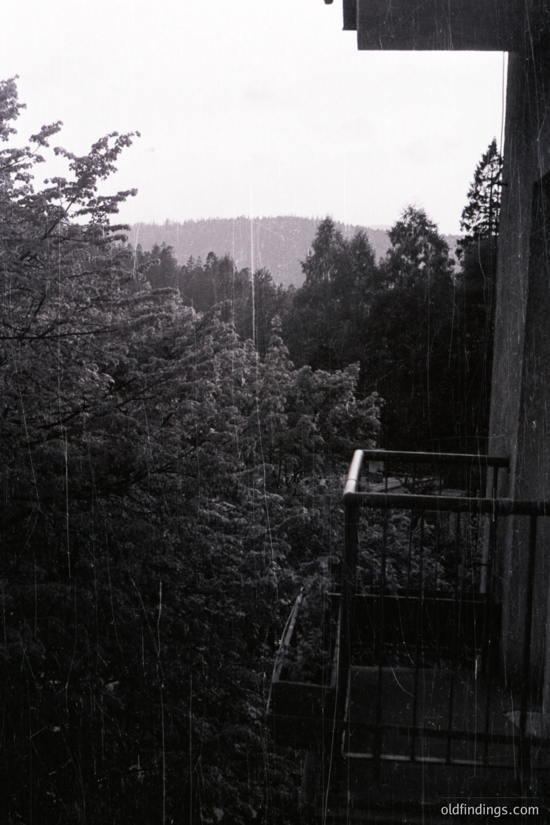 A grayscale image shows a view of dense forest through a rain-streaked balcony. Metal railings and steps frame the perspective, suggesting an apartment or similar structure. Likely taken in the mid-20th century, the composition emphasizes the atmospheric conditions and natural landscape. Commercial value as a moody nature scene or design reference.