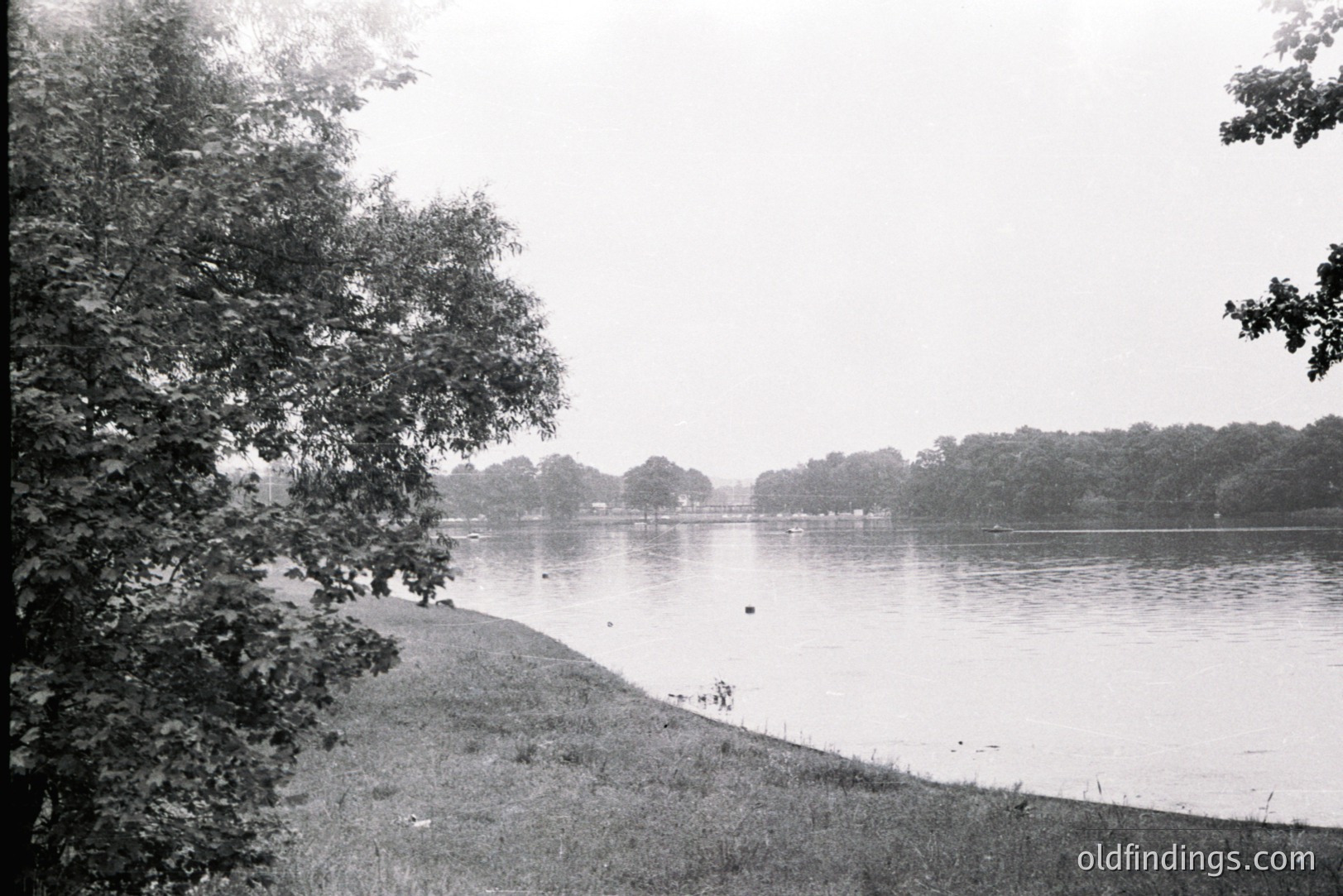 Monochrome, wide view shows a tranquil river landscape with a grassy bank in the foreground. Dense trees line the opposite shore, creating a lush, wooded backdrop. Sparse cloud cover diffuses light. Likely a recreational area, possibly 1950s-1970s. Suitable for design or historical context.