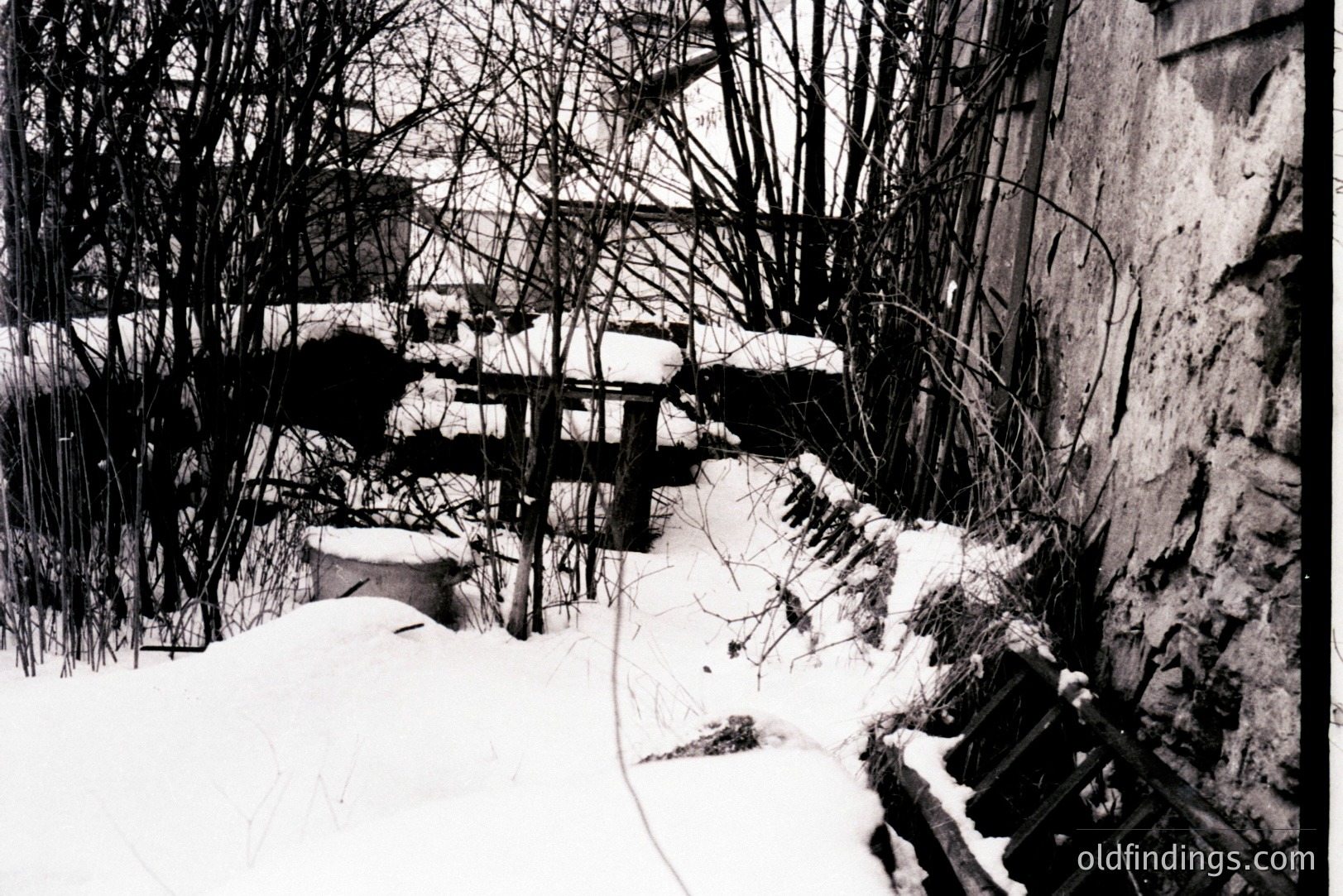 Winter scene features snow-covered steps leading to a weathered stone wall and a tangle of bare branches. The building’s façade shows signs of age and repair. Likely a courtyard or garden setting. Appears to be a vintage, possibly 1970s photograph. Suitable for architectural or nature stock.
