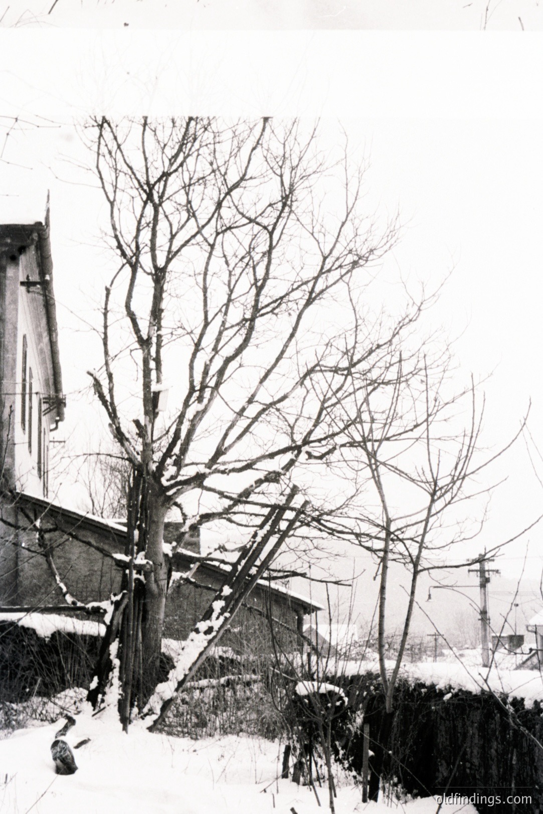Snow-covered hillside scene with bare trees and a simple, steeply-roofed structure. Likely a rural setting, possibly Eastern European based on architectural style. The image evokes a sense of starkness and quietude. Appears to be a mid-20th century snapshot. Suitable for design referencing or historical context.