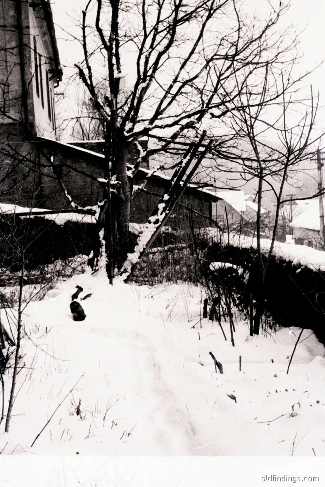 Monochrome image depicts a snow-covered landscape featuring bare trees and a partially visible building. A lone figure bundled in dark clothing is walking through the deep snow. Likely a rural scene, possibly Eastern Europe. Appears to be a candid moment, capturing a quiet, wintry day.