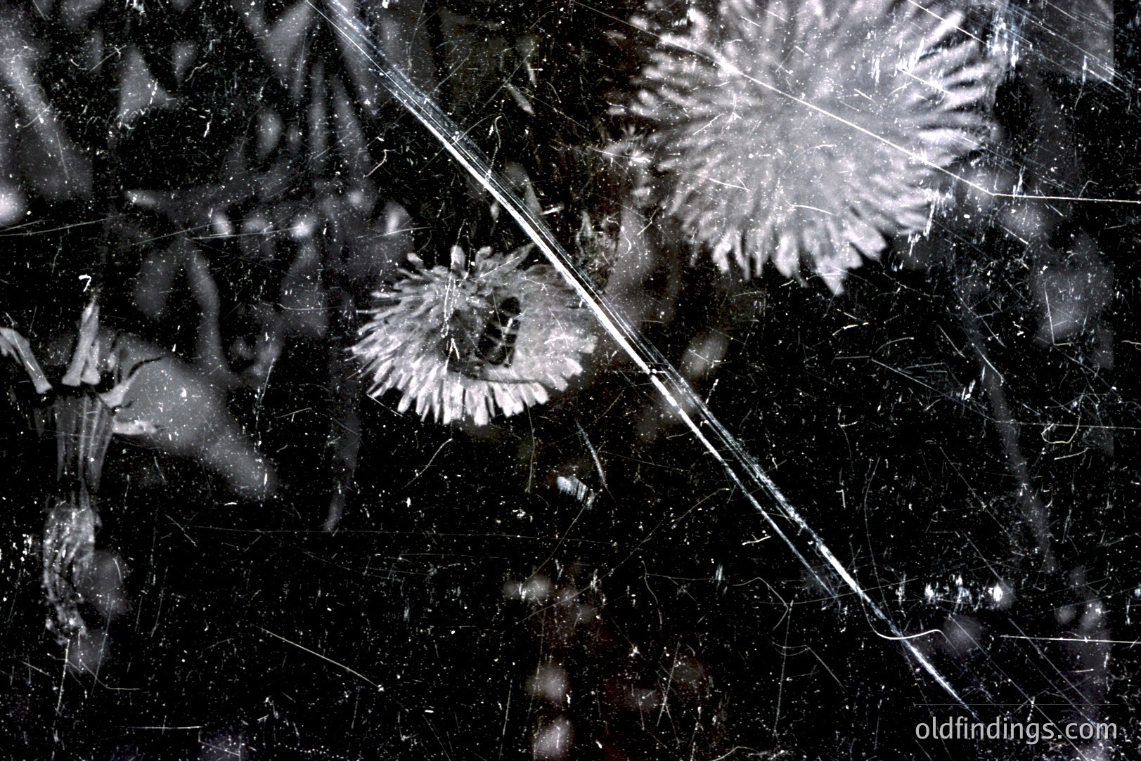 Close-up view of a damaged screen with a floral pattern appearing through the cracks. The screen is heavily scratched and appears aged. Likely a vintage or discarded device. The floral design features stylized, symmetrical blooms. The dark background suggests a protective case or bag.