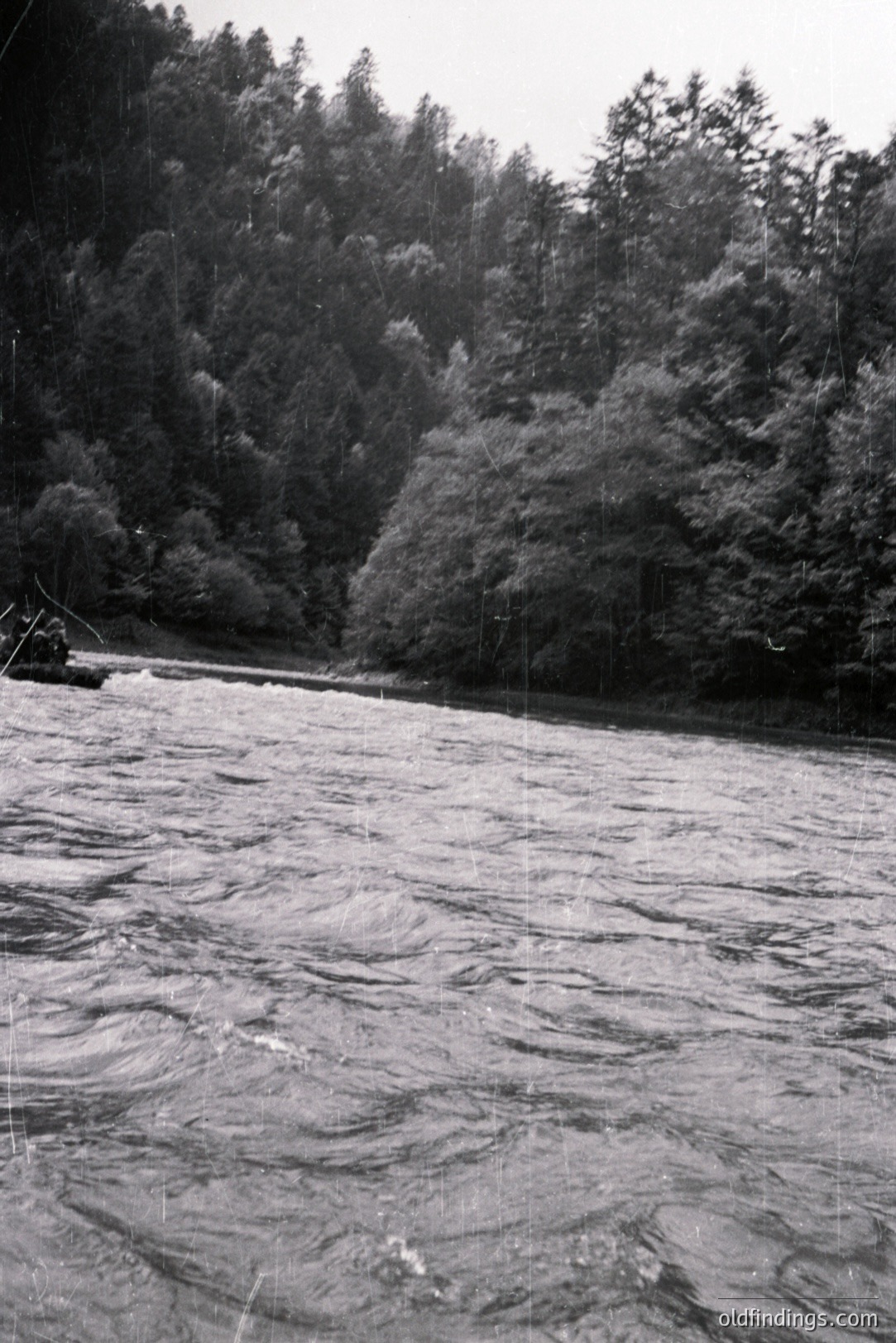 Rushing river fills the frame, framed by dense, tall evergreen forest. A small raft with two figures is visible mid-river, suggesting a whitewater adventure. Likely a wilderness location, possibly the Pacific Northwest. Vintage print exhibits grain and slight damage.