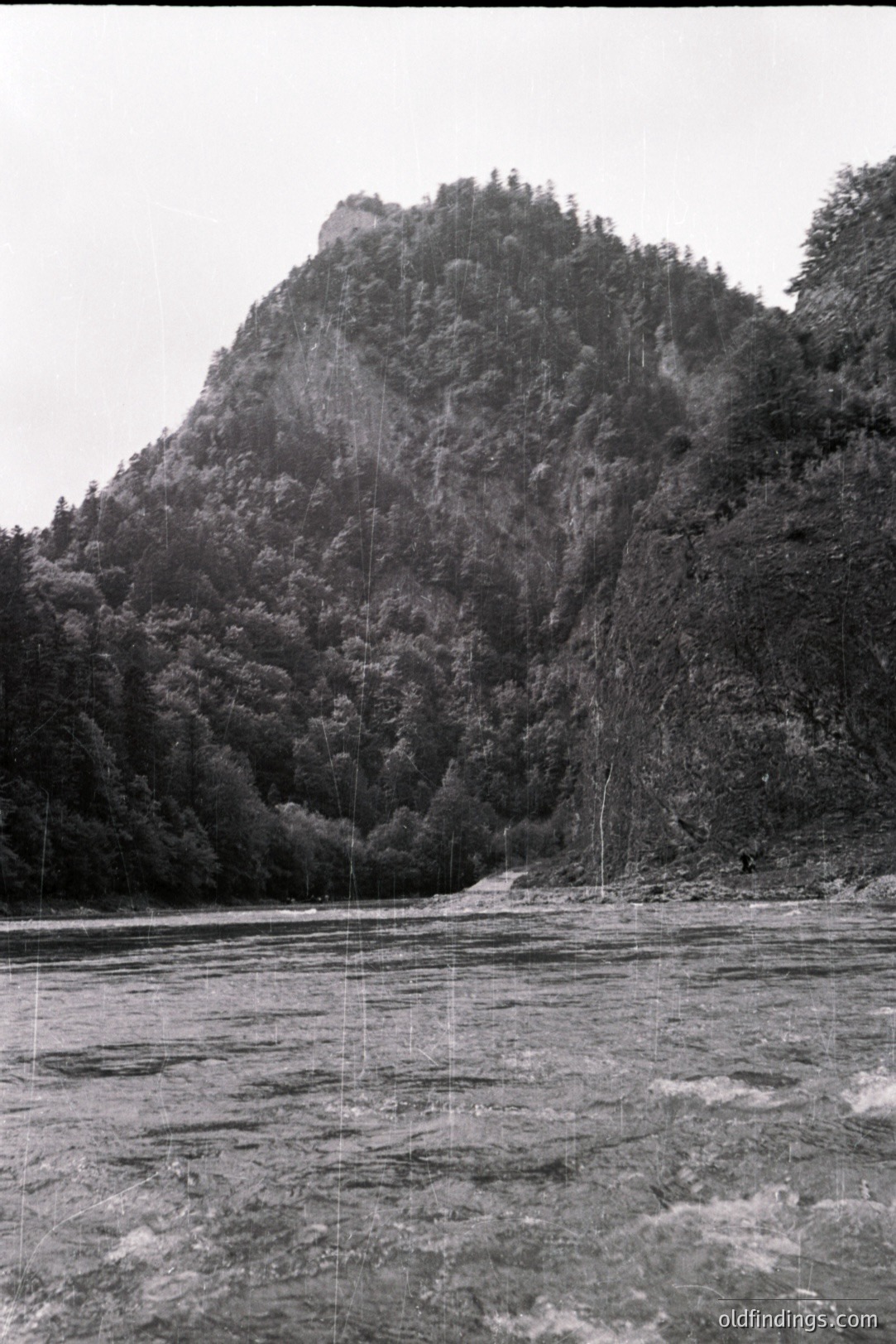Lush, forested mountains rise dramatically from a rushing river. Dense foliage covers the steep slopes, partially obscuring rock formations. The image exhibits a grainy texture, indicative of older photographic film. Likely a landscape study, possibly from the mid-20th century.