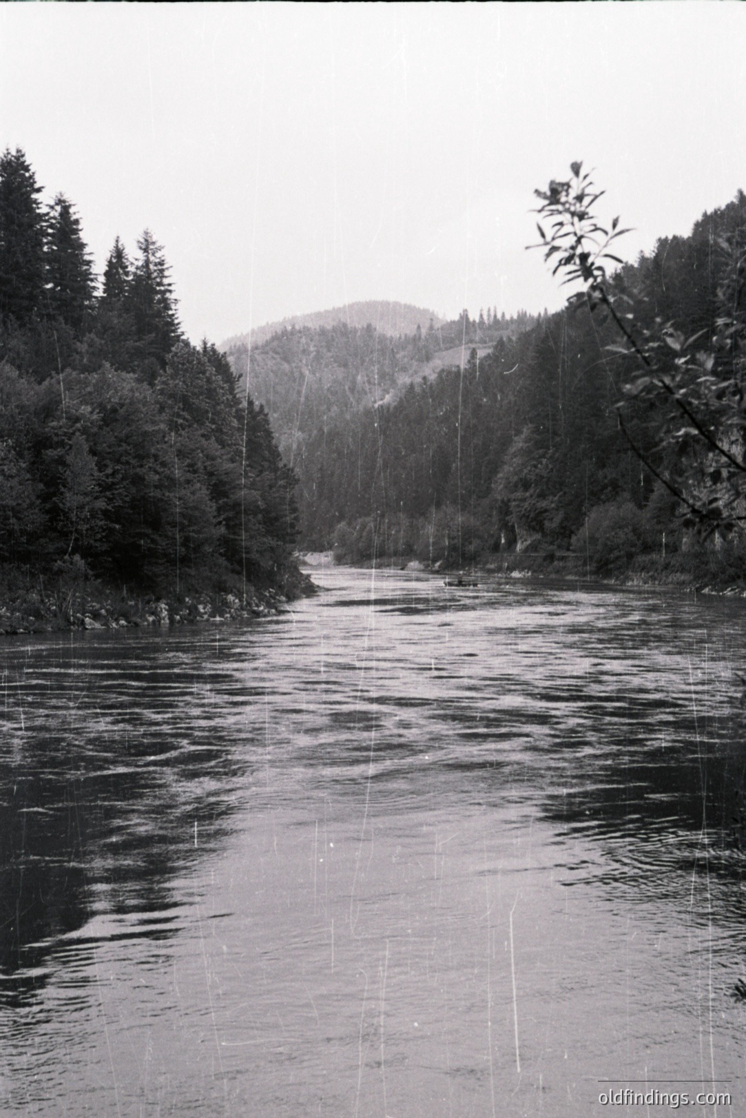 Monochrome photograph showcasing a river flowing through a deep valley. Dense evergreen forests line both banks, rising to a distant, mist-shrouded peak. Rain streaks dominate the scene, creating a moody, atmospheric effect. Likely a wilderness landscape, circa 1970s aesthetic. Suitable for nature stock.