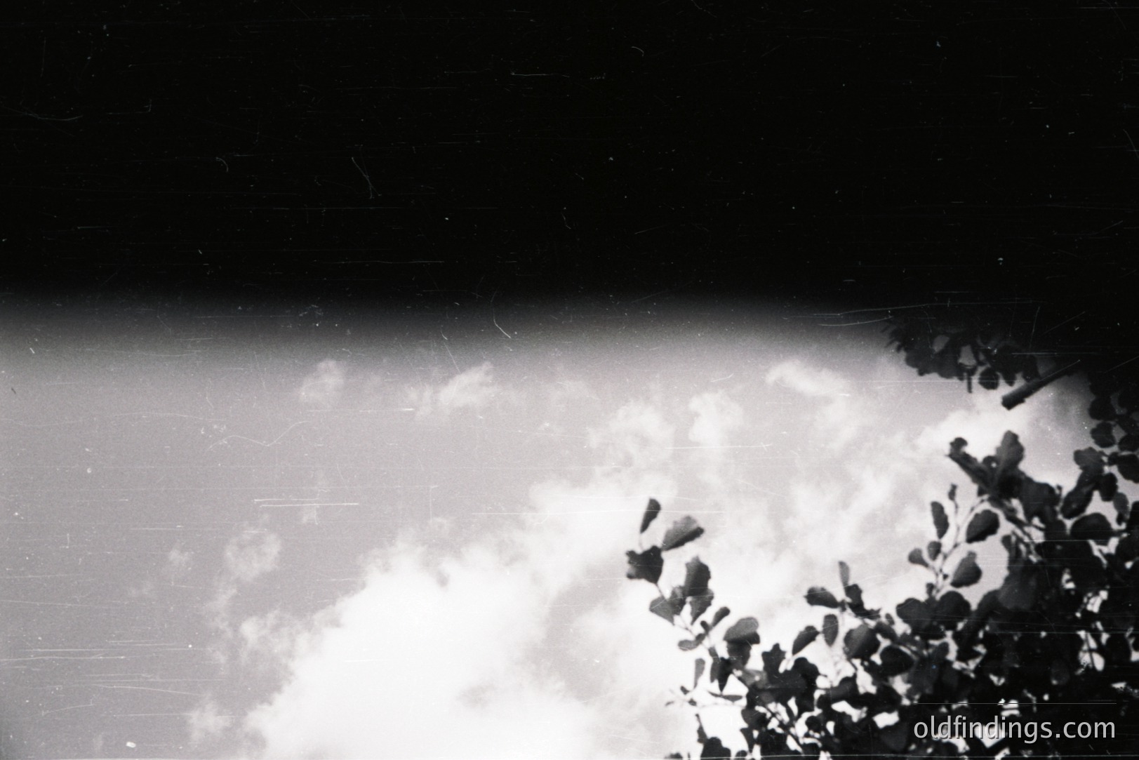 Striking black and white photograph featuring a partially obscured view of bright, billowing clouds. Foliage frames the right side, creating a natural border. Image exhibits film grain and visible scratches, suggesting age. Likely mid-20th century landscape study.