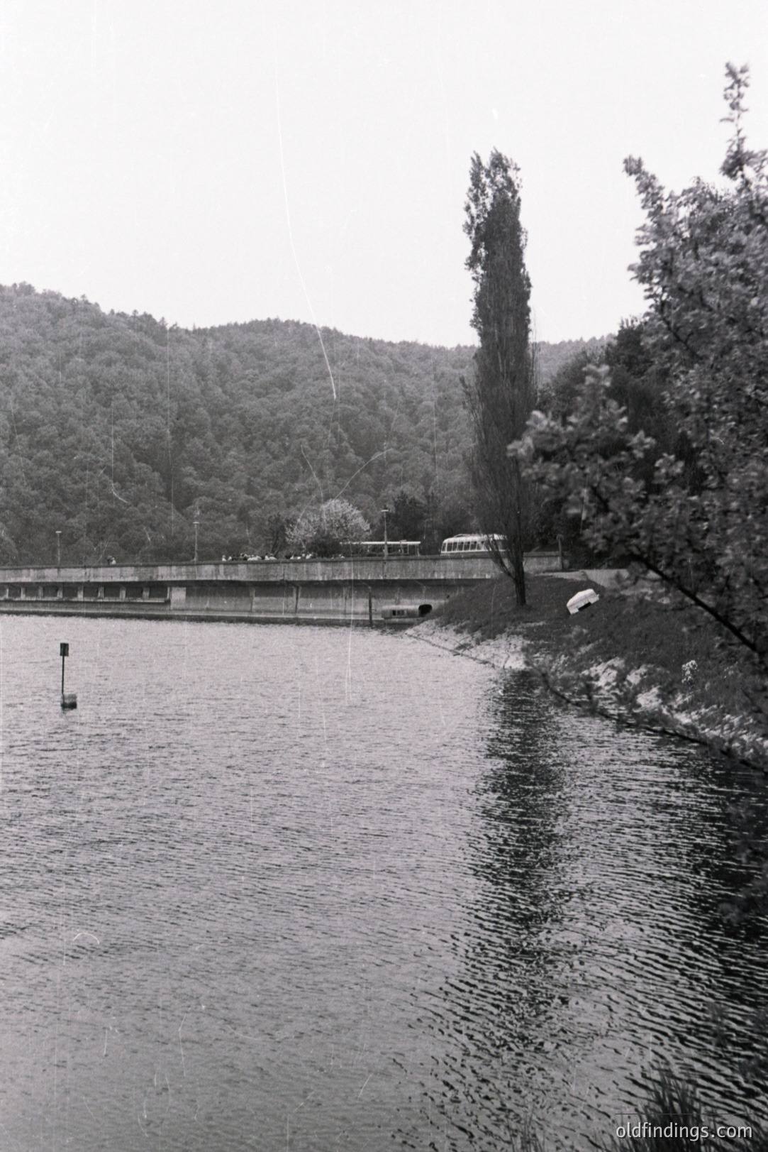 Monochrome image captures a tranquil lakeside scene. A dense, tree-covered hillside rises steeply. A long, low structure possibly a recreational facility, sits along the water’s edge. A tall cypress tree stands prominently near the shoreline. Rippling water & a solitary buoy add texture. Likely a resort area.