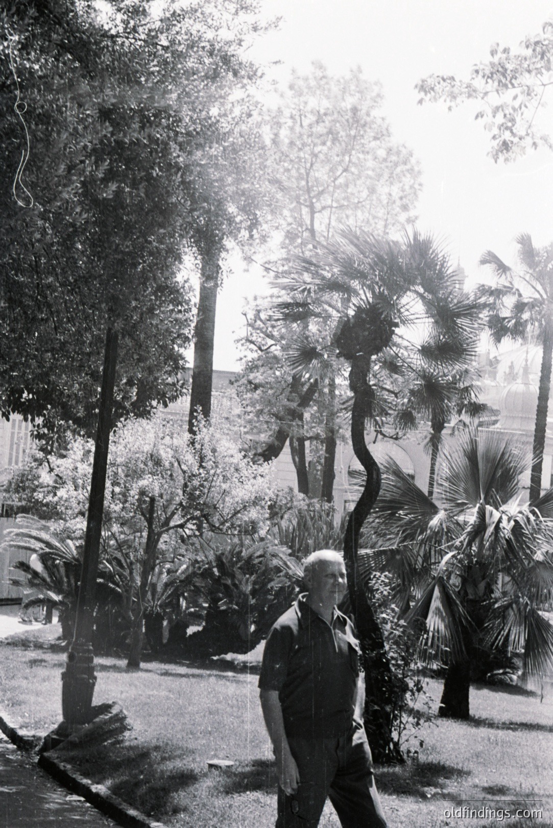 A man in a short-sleeved shirt and dark trousers strides across a lawn bordered by tall palm trees. Classic mid-century architecture is visible behind the lush foliage. Appears to be a resort or estate setting, likely 1960s. An atmospheric, possibly promotional shot.
