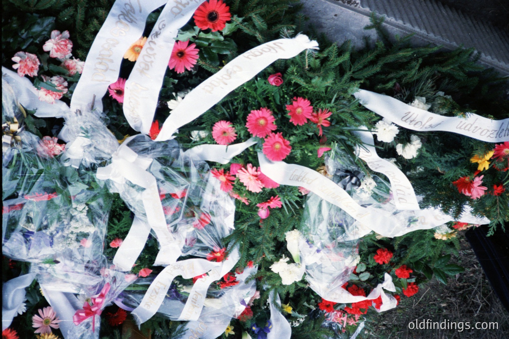 Close-up of a large floral wreath with vibrant pink gerbera daisies & lush greenery. Numerous white ribbons are intertwined, bearing visible Cyrillic script. Likely a memorial arrangement, possibly Eastern European origin. The photo displays a muted color palette typical of film photography.