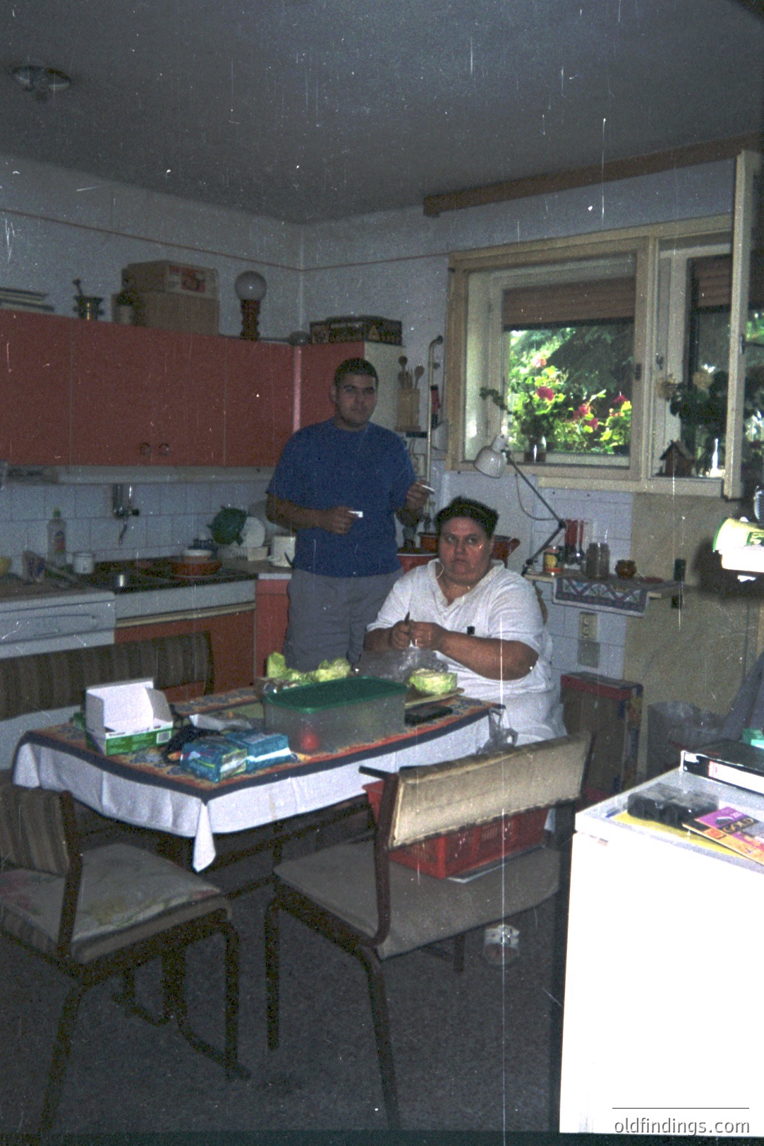 A home kitchen scene, two men preparing food at a table draped with a tablecloth. Coral-colored cabinets, vintage appliances, and a window overlooking greenery create a dated, domestic feel. Likely 1970s/1980s.