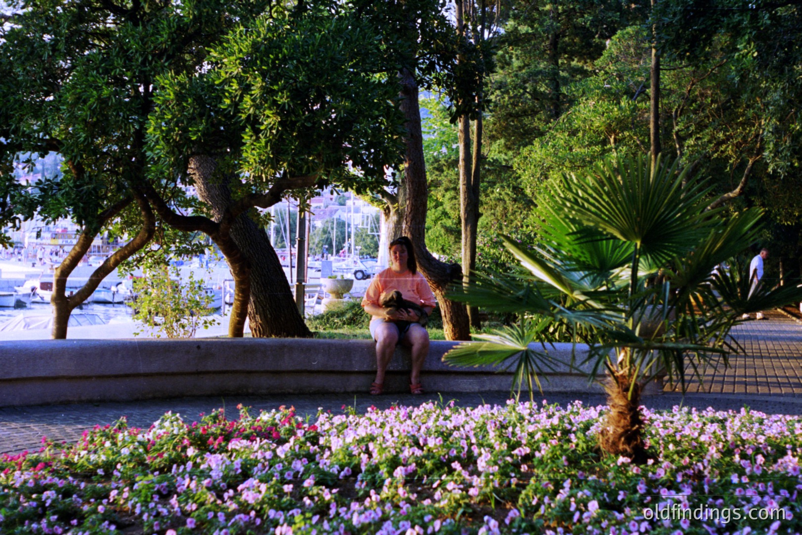 A woman sits on a stone wall overlooking a harbor filled with sailboats. Vibrant flowerbeds border the wall, with a palm tree adding a tropical touch. Likely a coastal European location, possibly the French Riviera. A tranquil, scenic moment.