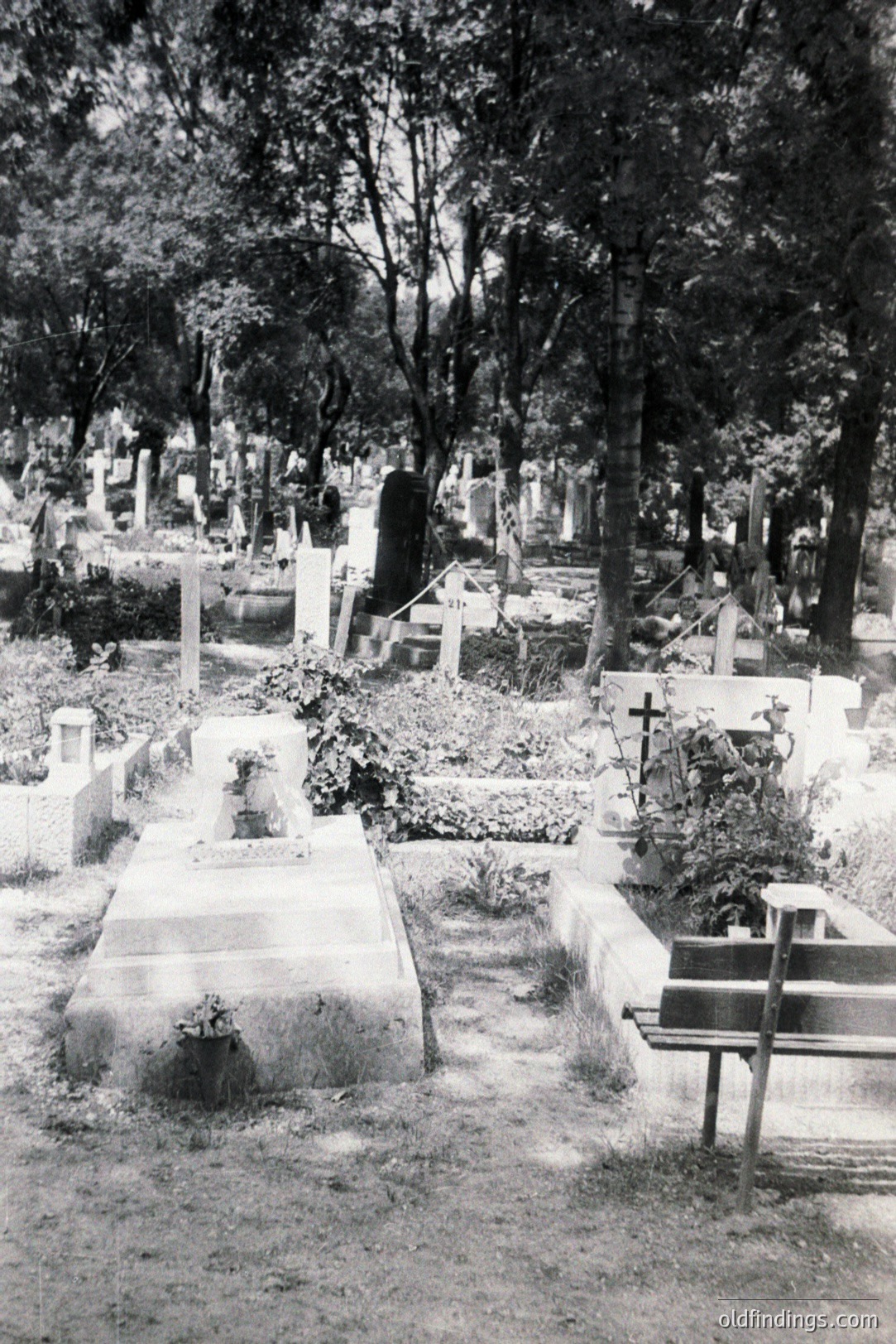 Monochrome view of a densely populated cemetery, featuring numerous weathered tombstones and ornate memorials set within a backdrop of lush foliage. The scene evokes a sense of history and quiet reverence. Likely European, mid-20th century. Commercial potential for design or historical research. <start_of_image>