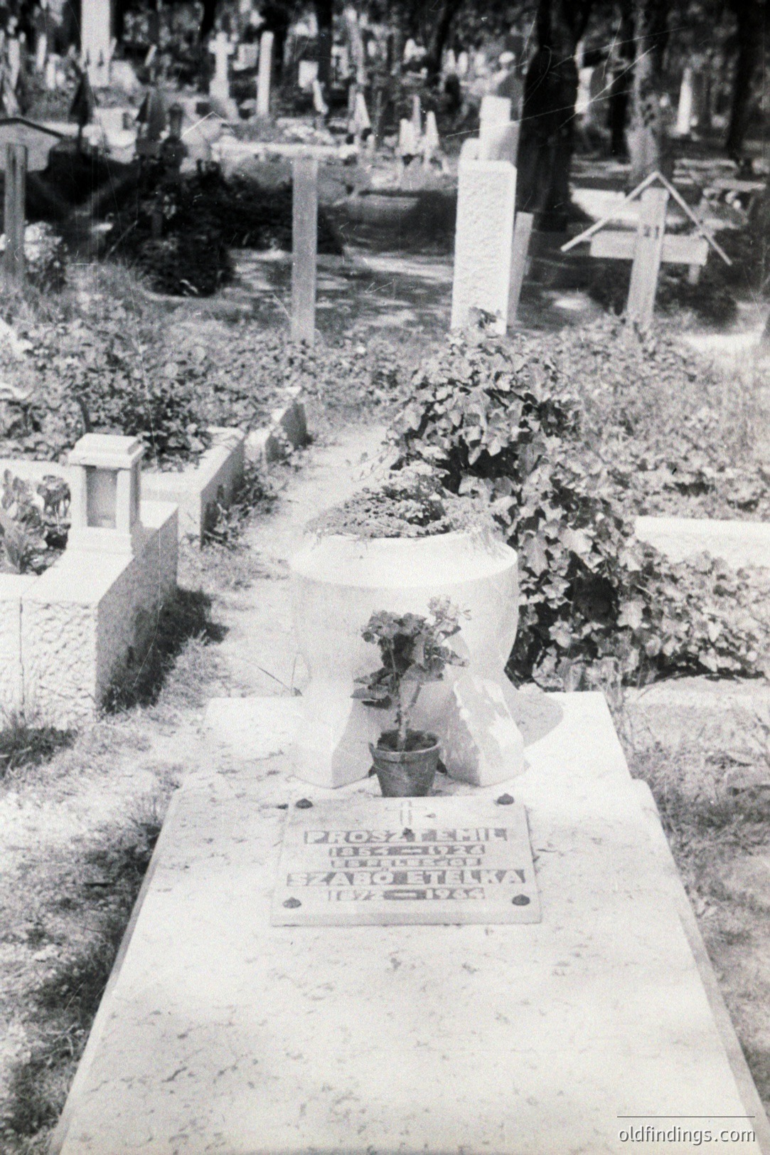 Monochrome image depicts a grave marker in a densely-packed cemetery. The flat stone memorial displays Cyrillic script, likely a name and dates. Overgrown foliage surrounds a small, white stone structure placed upon the marker. A glimpse of numerous other headstones in the background suggests a historic burial ground. Likely Eastern European.