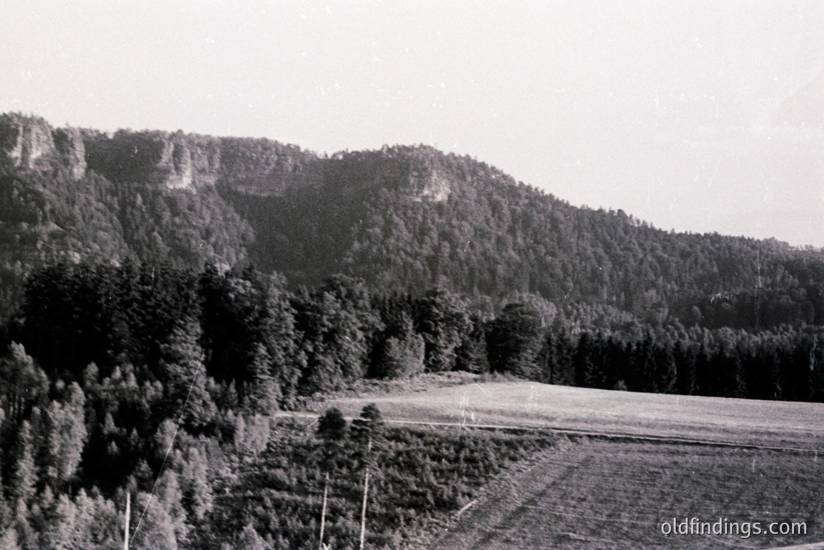 Lush, forested hillside rises dramatically from a flat, cultivated field. Rocky outcrop visible mid-slope. Likely a rural agricultural scene, possibly Eastern Europe. Appears to be a vintage, amateur photograph, circa 1960-1970s. Subject matter ideal for landscape design or historical context.