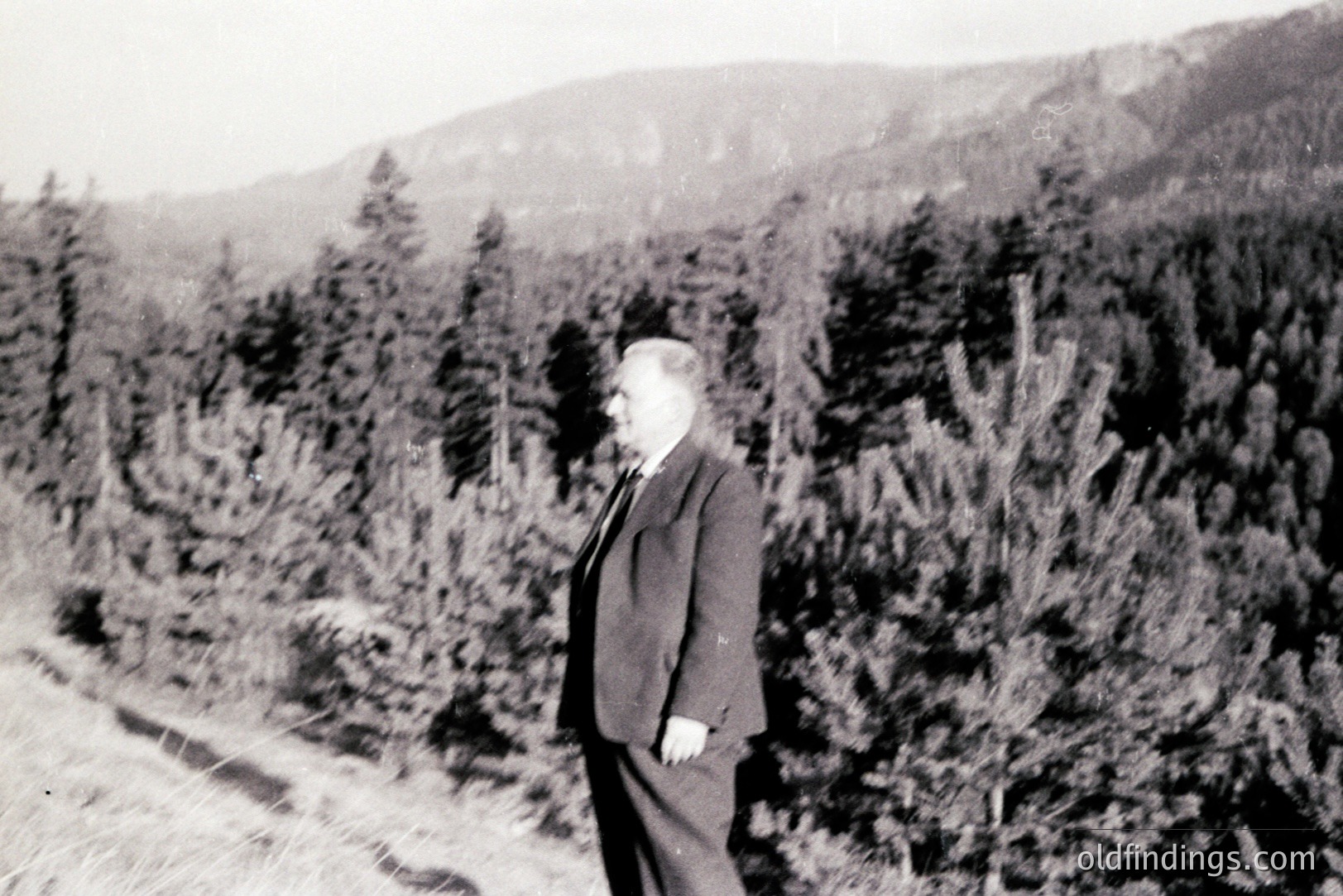 A man in a suit and tie poses beside a densely wooded hillside, likely a forestry area. The landscape suggests an alpine or mountainous environment. Black and white photography, indicative of the mid-20th century. May have commercial value for historical forestry or landscape design references.