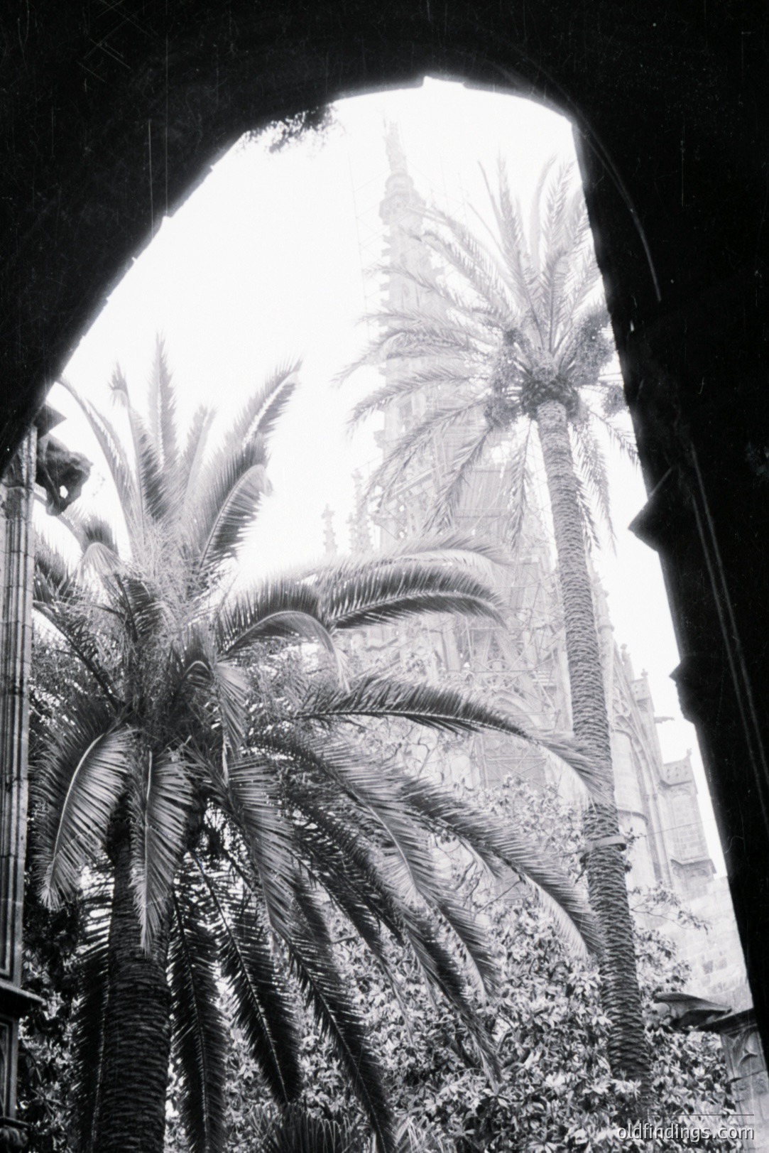 A striking view through an archway reveals lush palm trees and a glimpse of a tall, ornate building. Likely a courtyard or garden scene. Evokes a sense of exotic travel and architectural charm. Likely a mid-20th century, black and white photograph. Suitable for design and travel references.