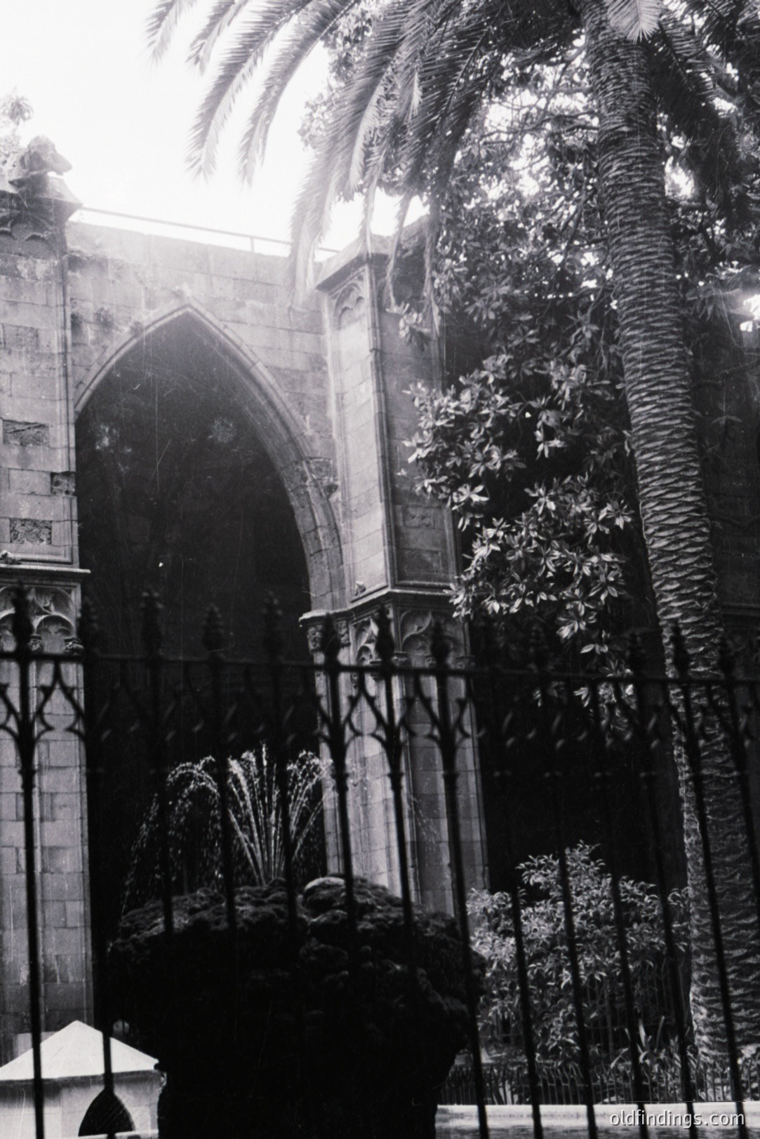 Ornate, wrought-iron gate frames a Gothic archway, leading to a courtyard glimpsed beyond. A mature palm tree stands adjacent, its fronds contrasting the architectural detail. Likely a European location, potentially Southern Europe. Evokes a sense of mystery and seclusion.