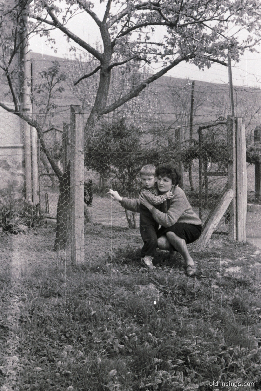 A woman and child sit in a grassy yard, framed by a wire fence and a blossoming tree. The woman cradles the boy, who gestures outwards. The scene suggests a domestic, rural setting, likely 1960s-1970s. Simple, timeless portrait.