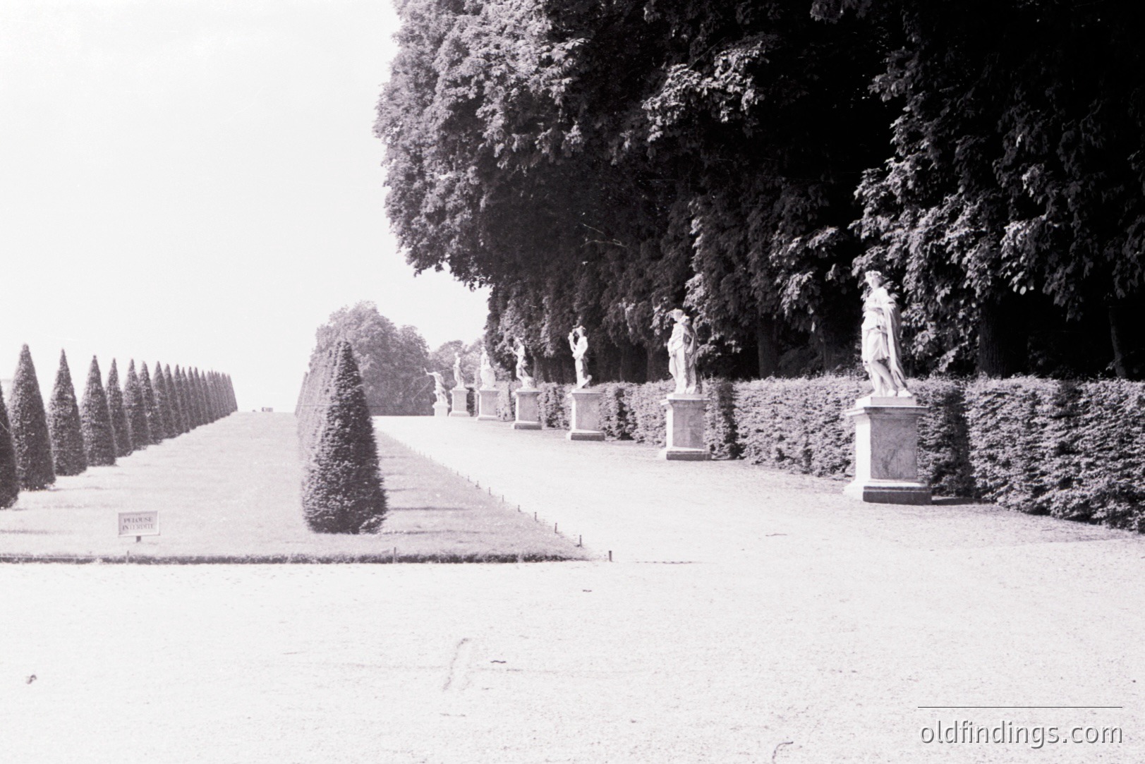 Formal garden path lined with sculpted hedges and marble statues. A series of cypress trees create a symmetrical perspective. The style suggests a French formal garden, likely 18th or 19th century. Detailed stonework and manicured landscaping. Ideal for design references.