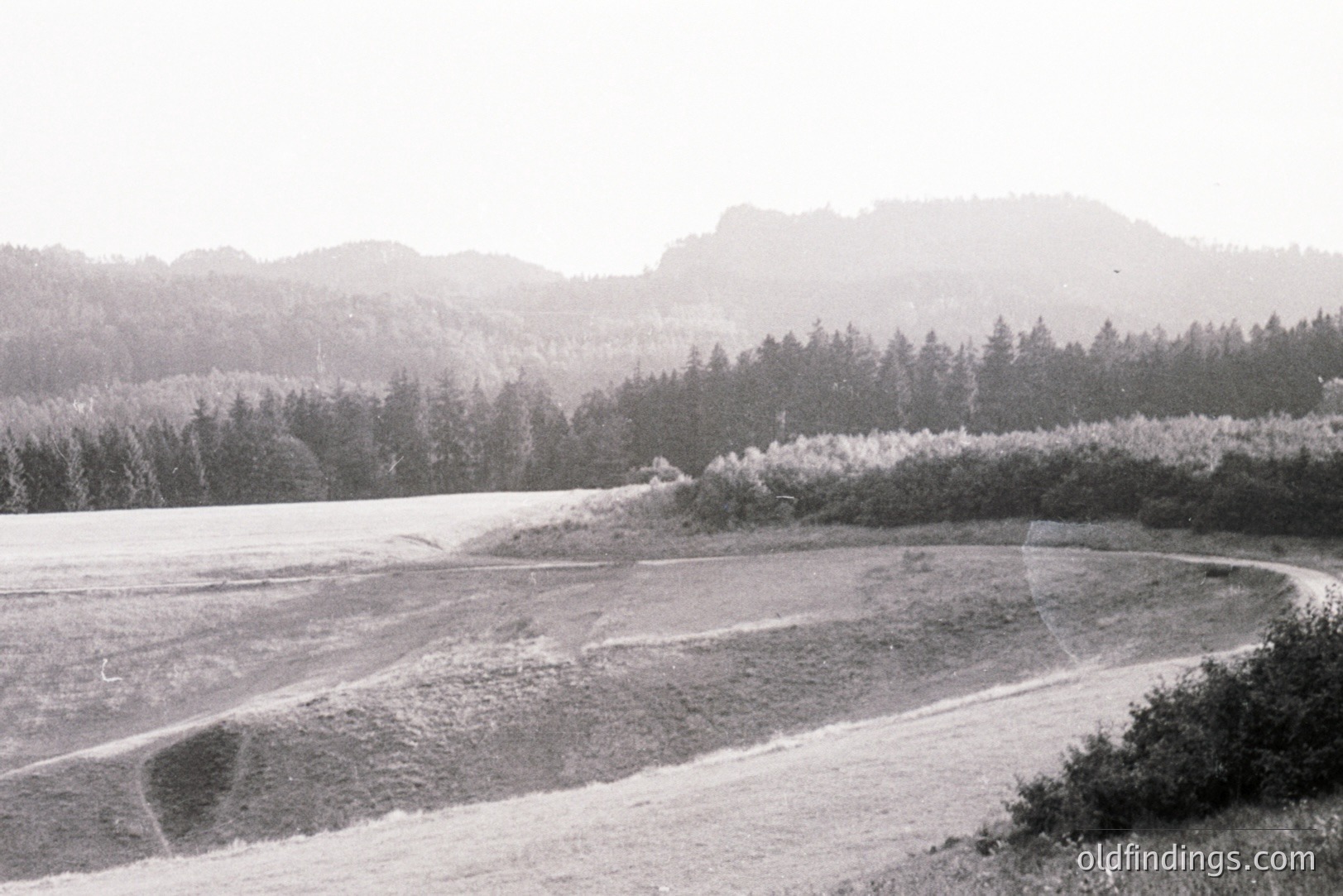 Dramatic, atmospheric landscape photograph. A winding road descends through rolling hills covered in dense pine forest. Soft light & low-contrast suggest a rural, possibly mountainous location. Appears to be a vintage print, circa 1950s-1970s. Ideal for design/mood imagery.