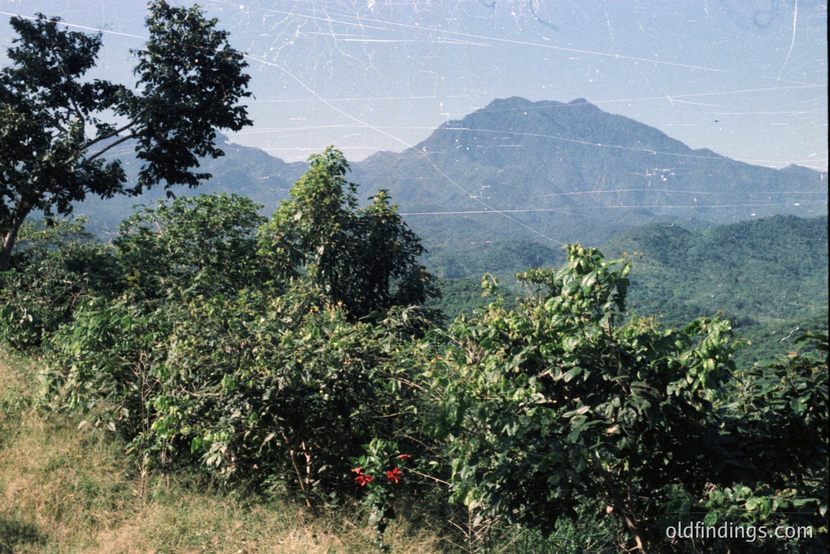 Lush, vibrant foliage dominates the foreground, framing a distant view of a forested, mountainous landscape. A road subtly winds through the hills. The image appears to be a vintage Kodachrome print, showing wear. Likely taken in a tropical region.