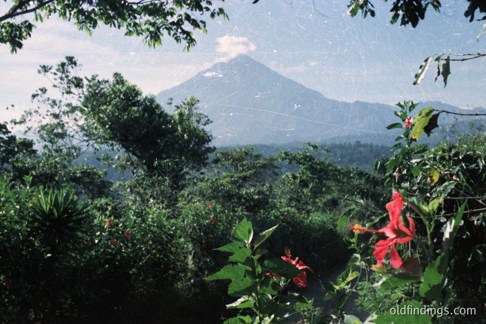 Lush, green hillside vegetation frames a view of a distant, snow-capped volcano. Hibiscus blooms add vibrant color in the foreground. Likely captured with film, visible grain & slight scratches are present. Landscape photography, potentially from Central America.