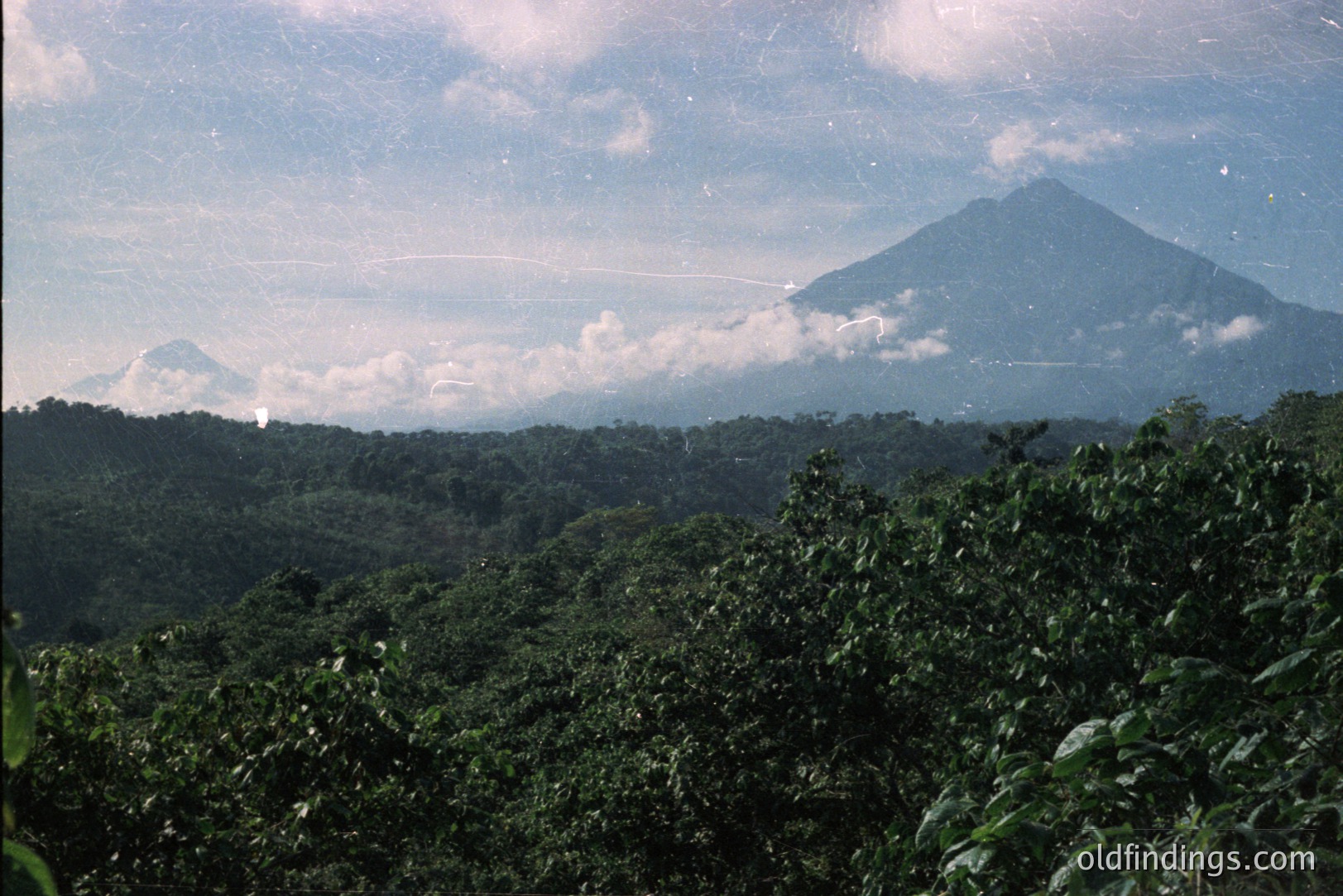 Lush, vibrant green foliage dominates the foreground, framing a panoramic view of rolling hills and distant volcanic peaks veiled in low-lying clouds. Likely a tropical landscape, the scene conveys depth and scale. This image may be valuable for travel or landscape design references.