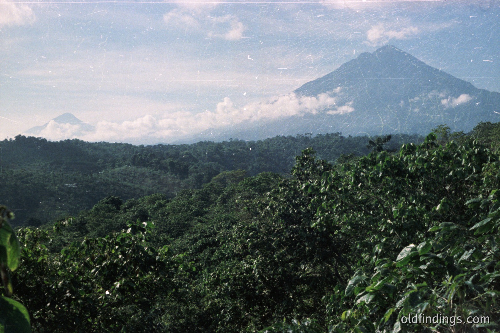 Lush, dense green foliage dominates foreground, transitioning to rolling hills and distant, cloud-covered volcanic peaks. Likely tropical landscape, potential for travel or nature stock imagery. Visible grain suggests film photography, possibly 1970s-1980s era. Scenic vista.