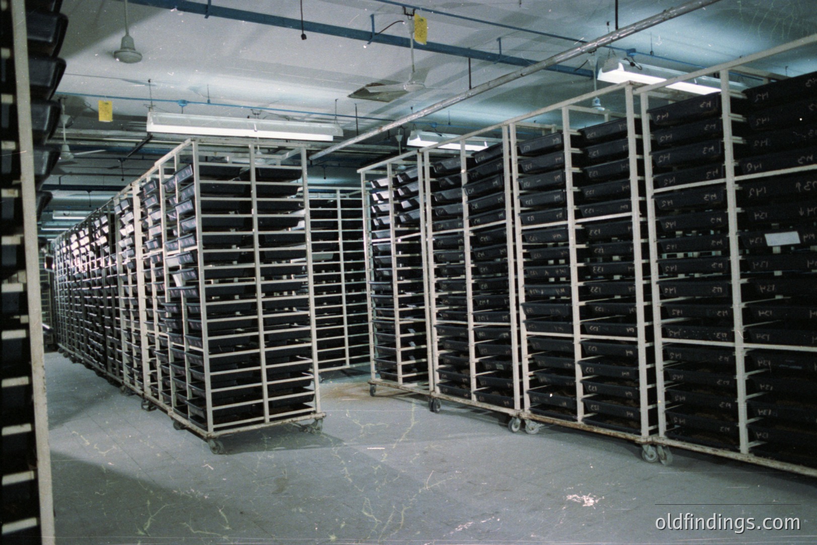 Expansive archival storage room features rows of white metal shelving carts densely packed with film canisters, likely negatives or microfiche. Concrete floor and ceiling visible; utilitarian space indicates a film archive or similar institutional setting. Likely mid-to-late 20th century. Valuable for design reference, research.